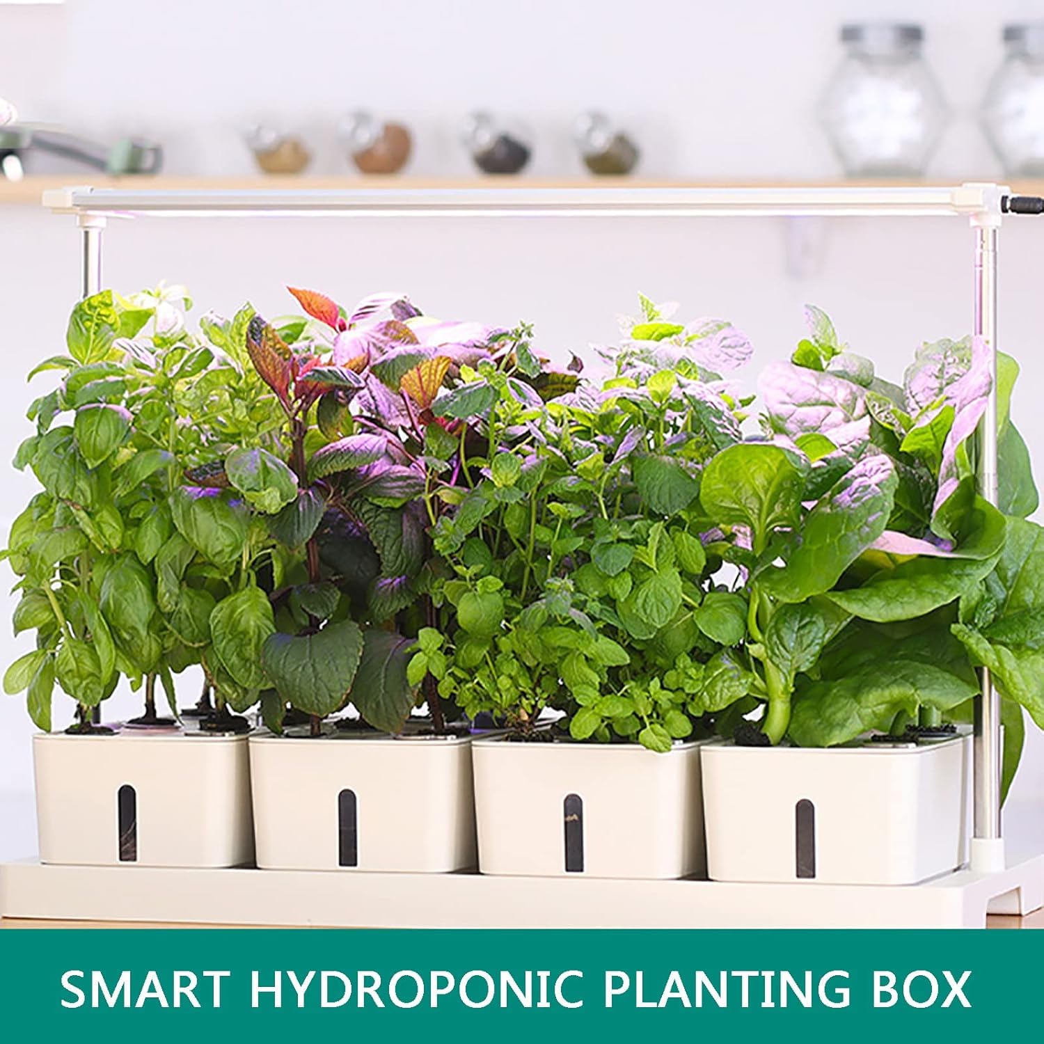 Giardino idroponico per erbe aromatiche da interni, con timer 20 ore, supporto per luce regolabile da 75 cm, design con ingresso dell'acqua per sistema di coltivazione intelligente