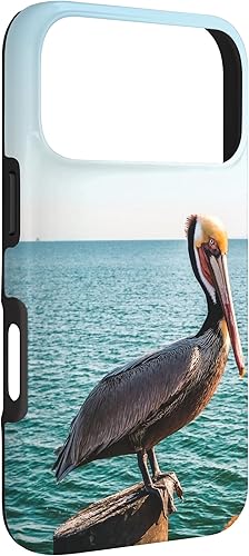 Vista 81 de iPhone 11 Pelican Case