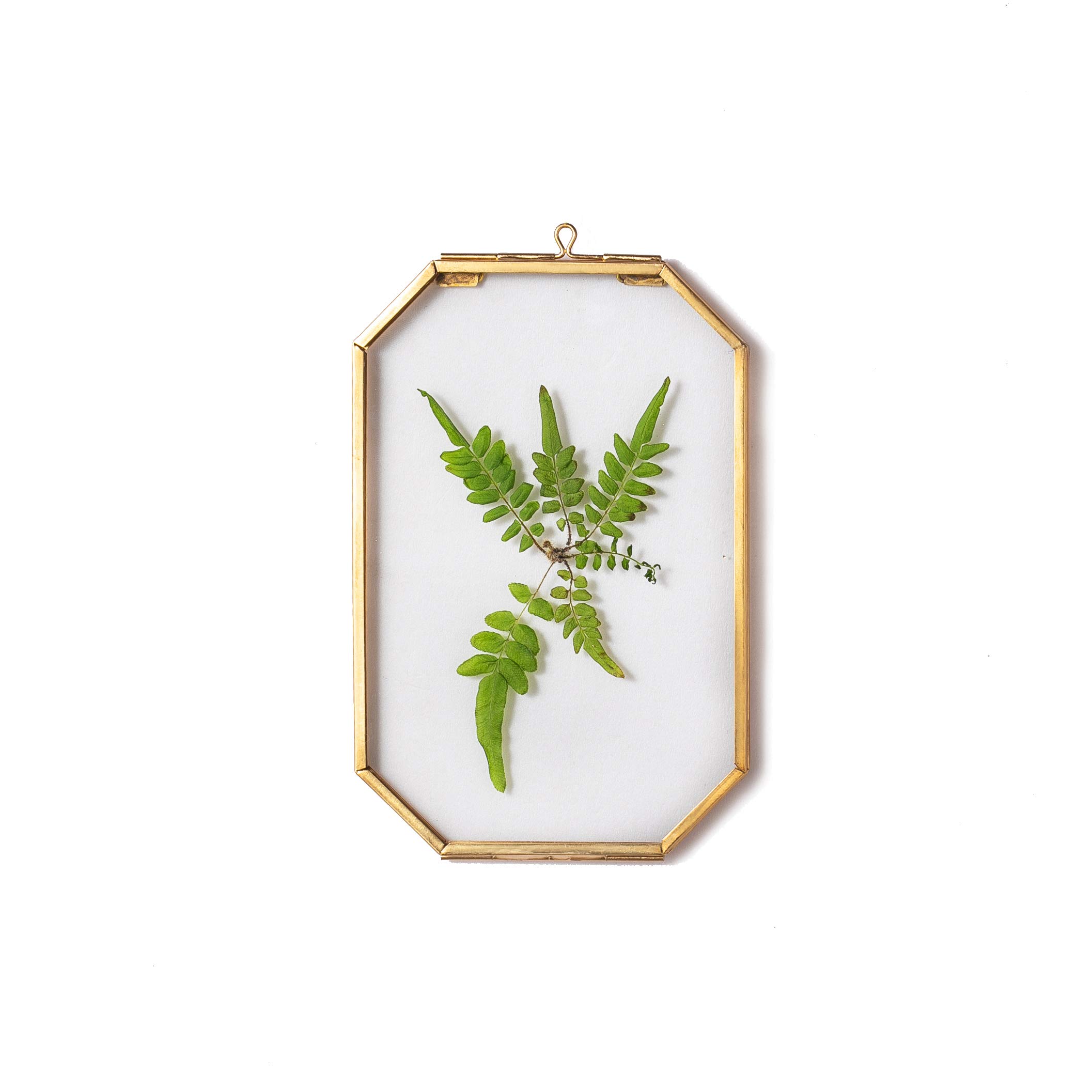 NCYP Glass Floating Frame Gold Octagon Clear Wall Decor Brass Hanging