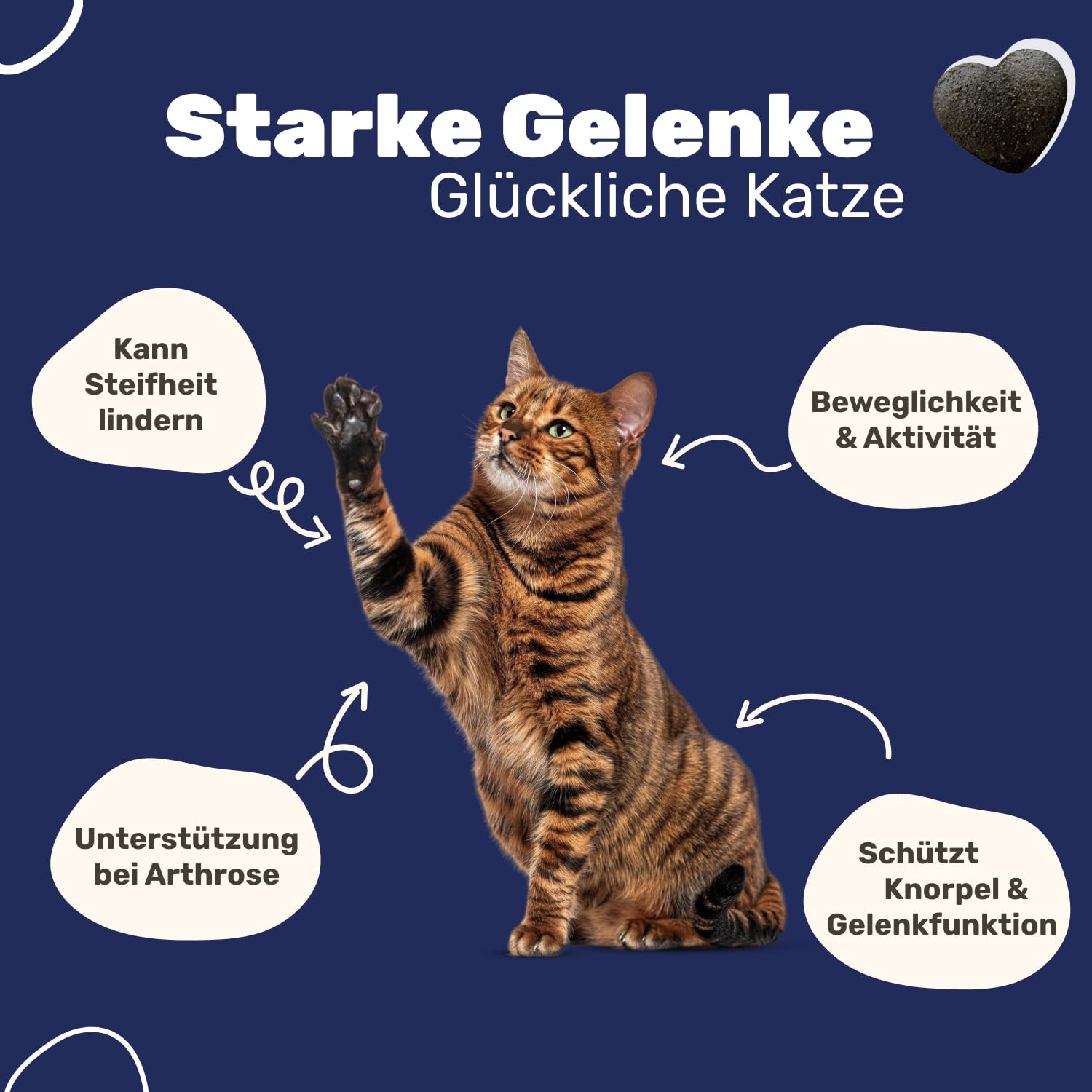 Gelenk-Snacks für Katzen | Stärkt Gelenke mit Grünlippmuschel, MSM, Spirulina, Kollagen | Ergänzungsfuttermittel mit Omega 3 für Katzen | Tierärztlich entwickelt | Leckerli Gelenke Katze | Patsli Move