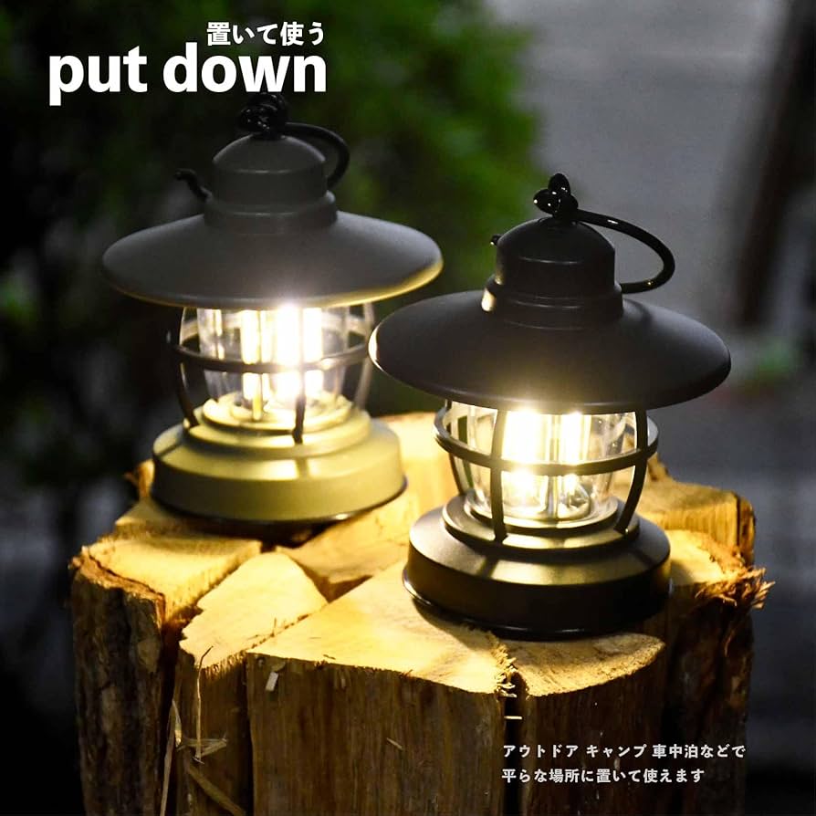 Amazon.co.jp: ファンライフプラス 2個セット ブラック グリーン