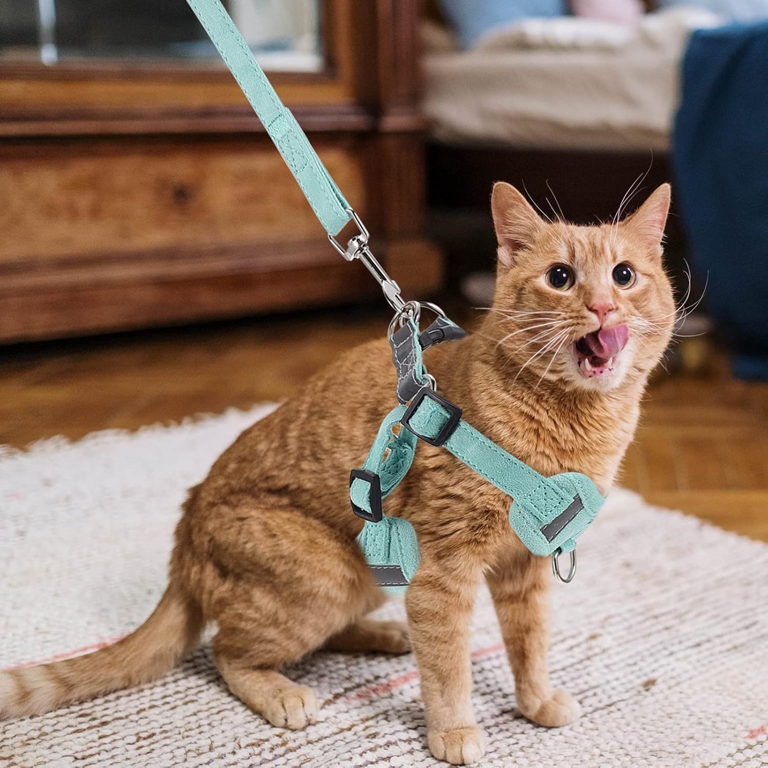 balacoo 1set Cat Leash Pet Chest Strap Traction Rope Soft and Comfortable Design for Outdoor Activities Your Cat Reflective for Night Safety