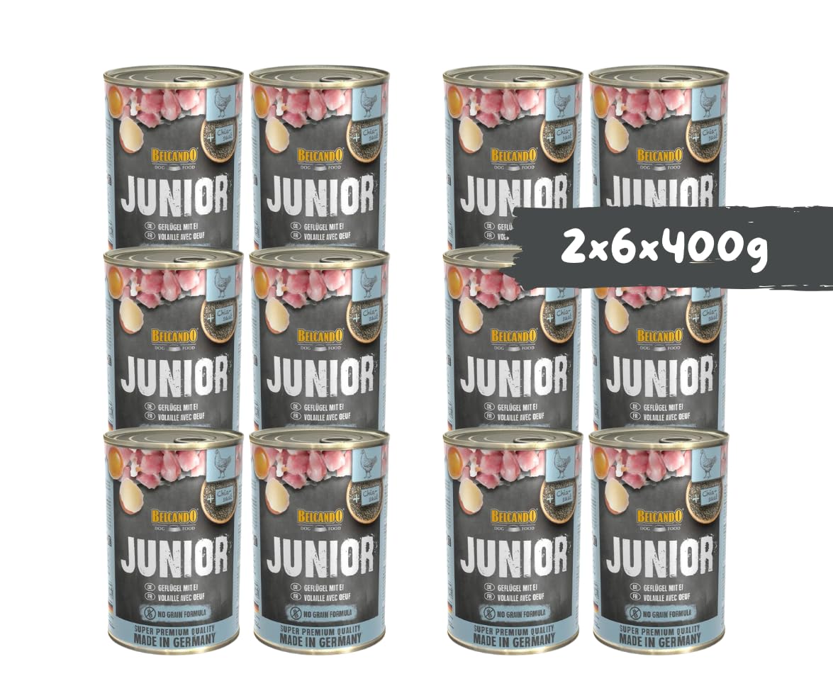 Belcando Junior Geflügel mit Ei 2x6x400g – Nassfutter für Welpen & Junghunde, hochwertiges Aufzuchtfutter mit Geflügel, schonend gegart - Hundefutter Bundle/Sparpaket - Made in Germany