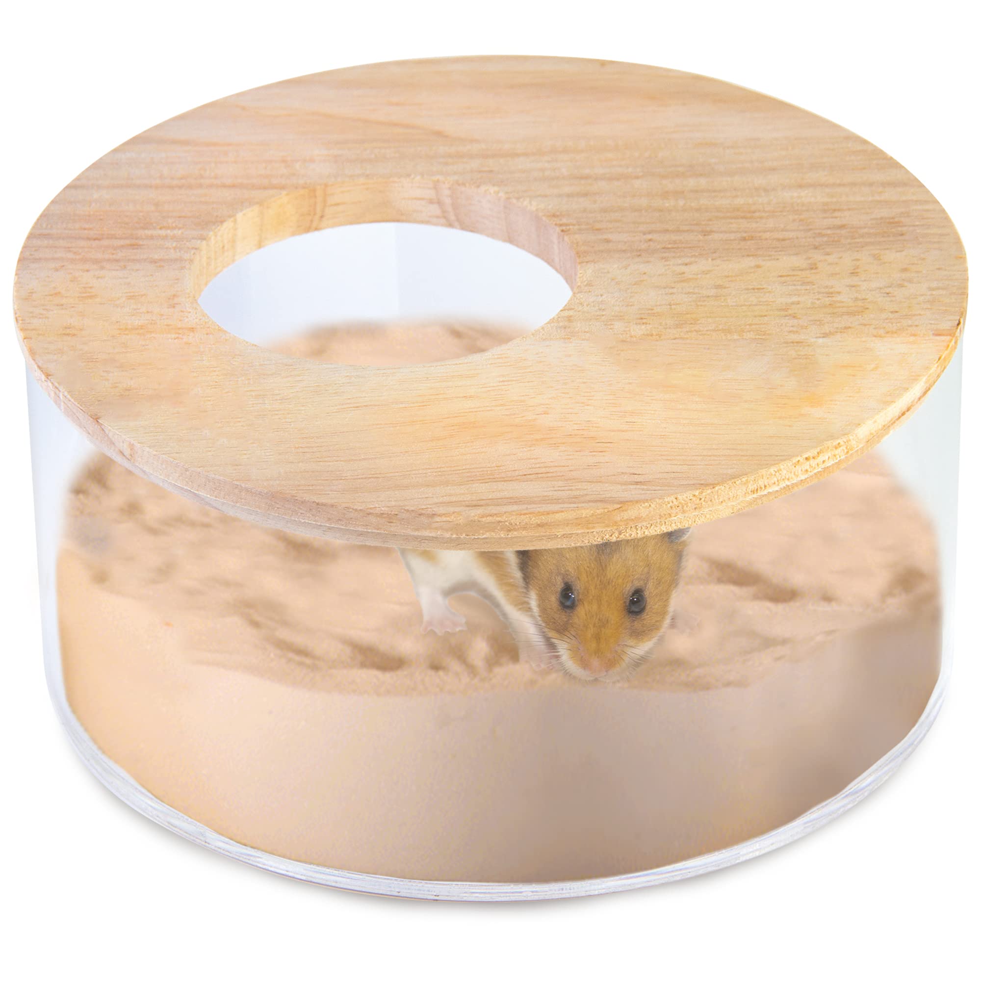 hamster box subscription