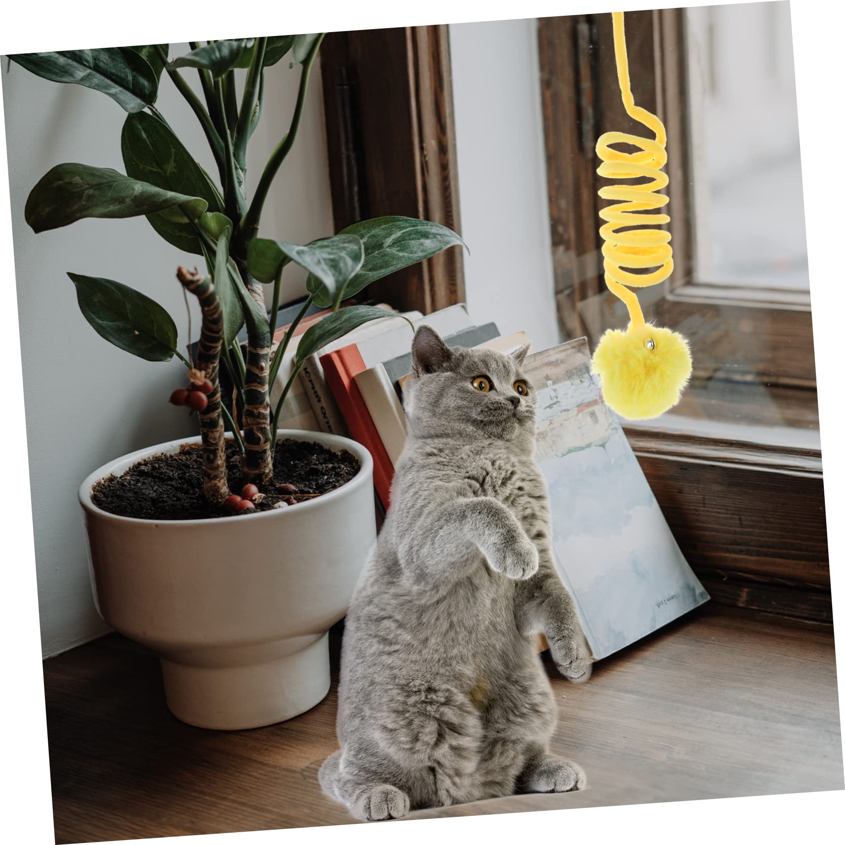 Mipcase 12stücke Katzenkratzball Interaktives Spielzeug Für Katzen Und Kätzchen Kratzspielzeug Mit Für Indoor Nutzung Fördert Und Kratzverhalten
