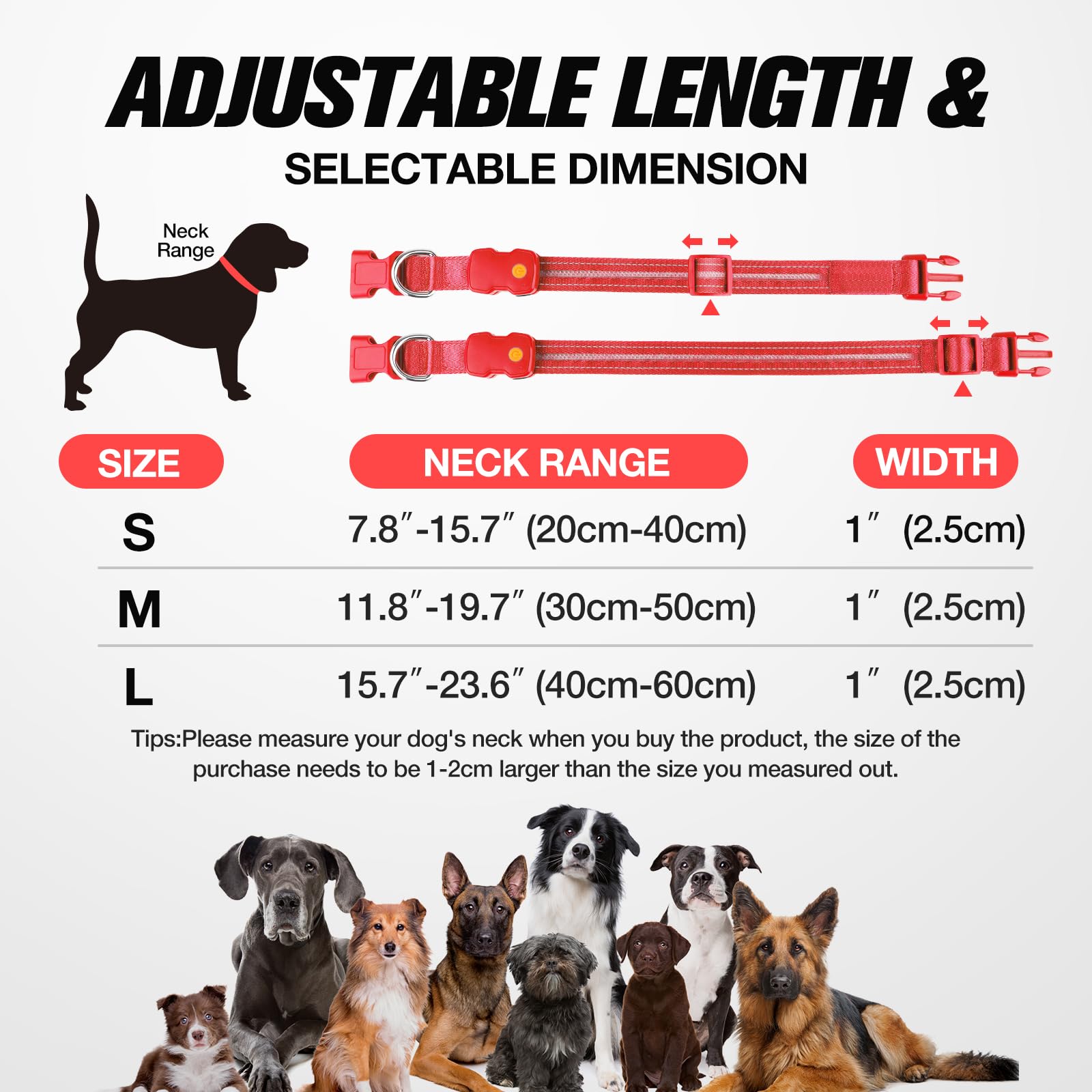 Jewyow Leuchthalsband Hund - USB-aufladbar, 1600ft Sichtweite, IPX7 Wasserdicht