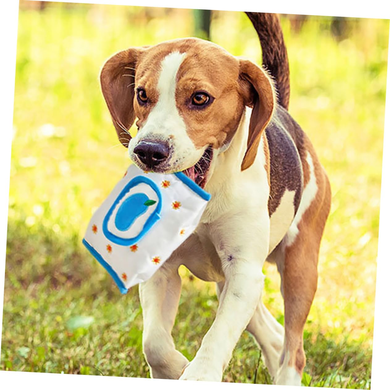 Kisangel 4pièces Jouet à Renifler Cartoon pour Chiens Jouets De Nourrissage Lents pour Chiots Et Activités Intérieures