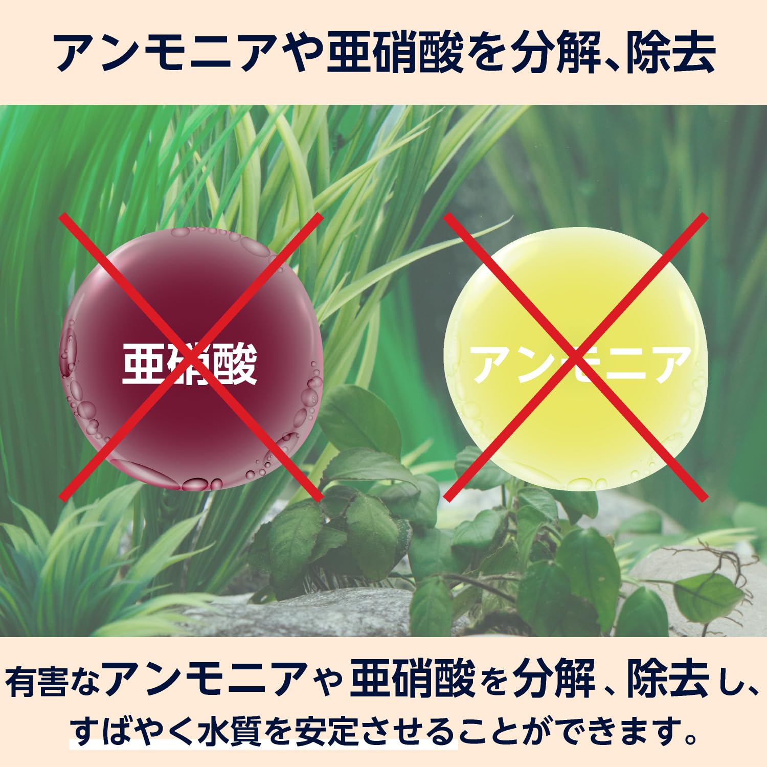 John 様へ　水質調整剤セット 4類 水質調整剤,☆健康管理剤☆鯉を健康にしたい | コイモール