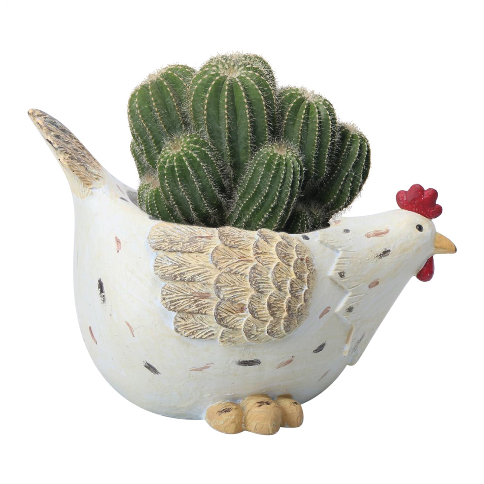 Jardinière extérieure poule contre le pourrissement des racines pour décoration balcon