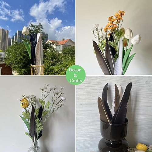 Miniatura 6 de LWINGFLYER 25 plumas de ganso largas blancas de 10 a 12 pulgadas para manualidades, bodas, fiestas, decoración del hogar, accesorios, plumas de