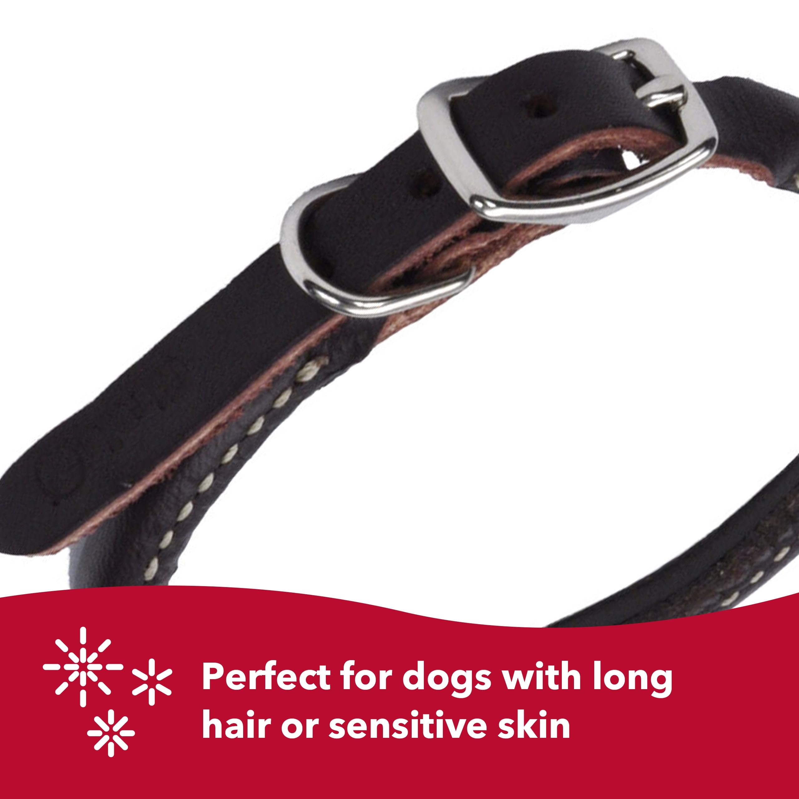Coastal Pet Circle T Latigo Leather Round Dog Collar - for Small