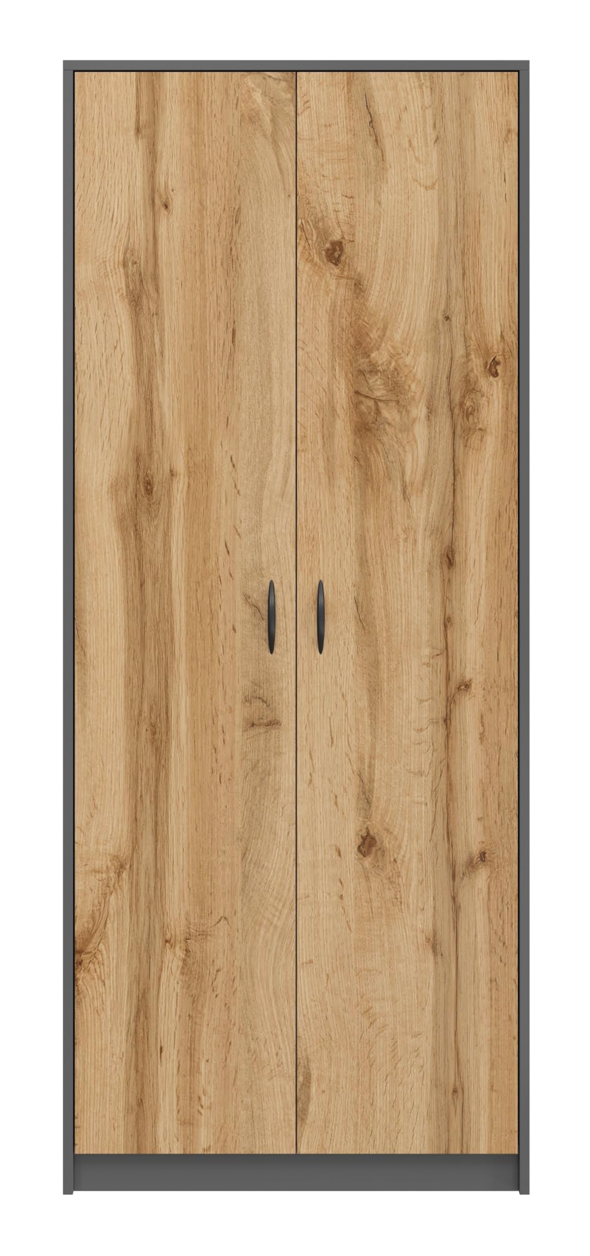 Armoire Multifonction pour la Maison, Armoire Pratique pour aspirateur et balais, 180 x 74 x 35 cm (Graphite/Chêne Wotan)