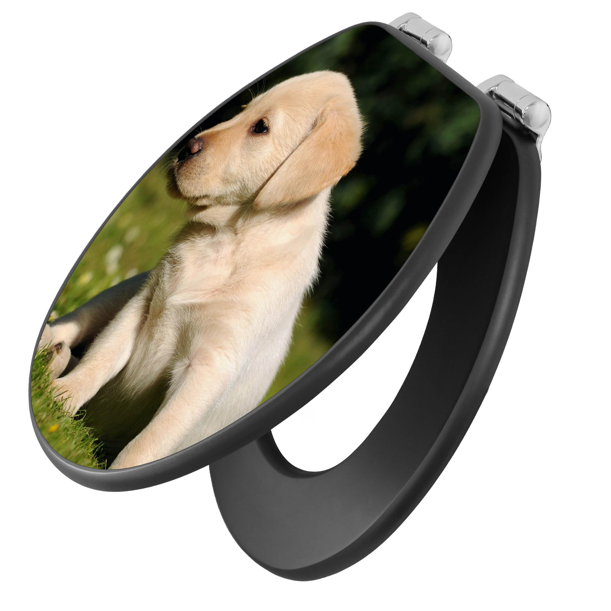 banjado WC Sitz Hunde - mit Absenkautomatik - 38 x 46,5cm O-Form - MDF Holz Toilettendeckel anthrazit - Klositz grau pflegeleicht für Badkomfort - Motiv Labrador