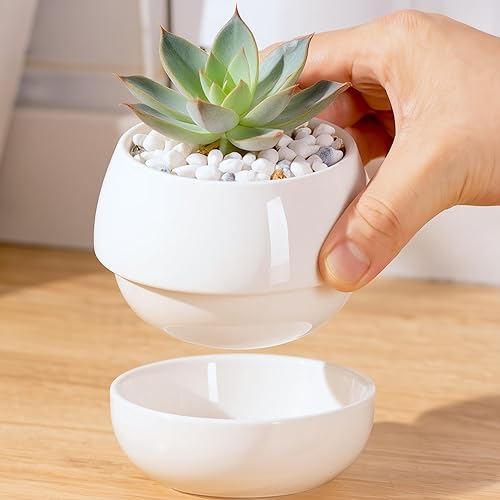 Willowy Maceta pequeña para suculentas (paquete de 1) Macetas para suculentas con bandeja de drenaje Macetas de cerámica, macetas para