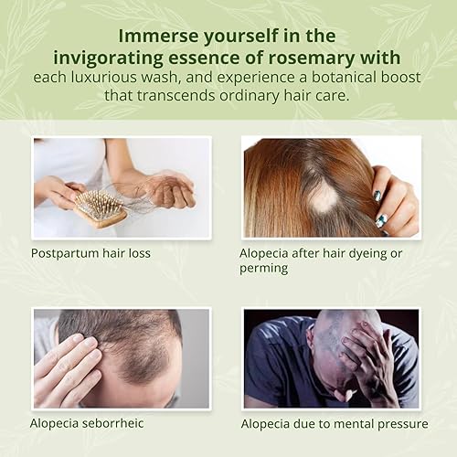 Miniatura 4 de Lilivera Champú para el crecimiento del cabello con aceite de árbol de té, champú para adelgazar el cabello, champú para hombres y mujeres, champú