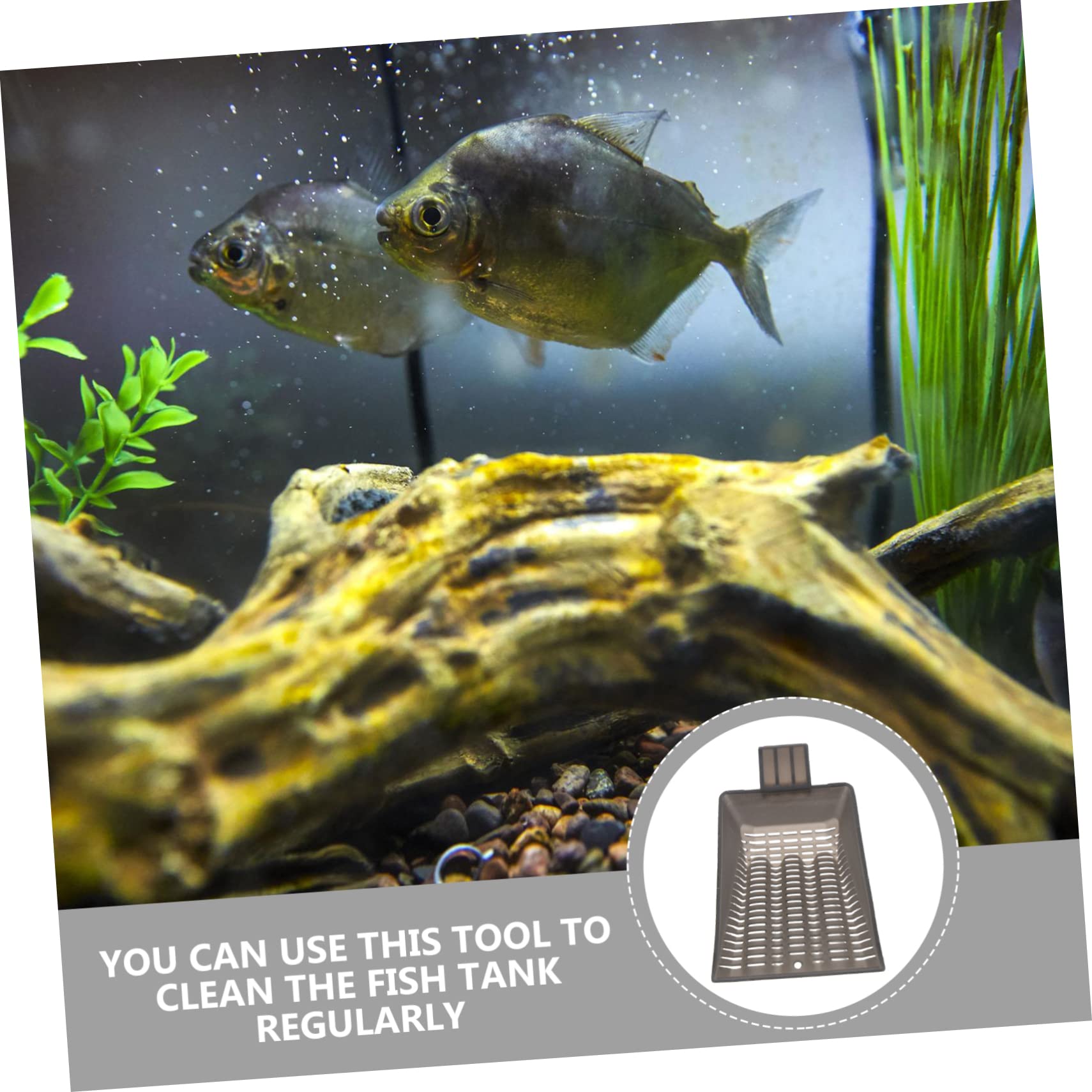 HAPINARY Fish Tank Sand Shovel Durable Plastic Scooper for Aquarium Cleaning Easy to Use