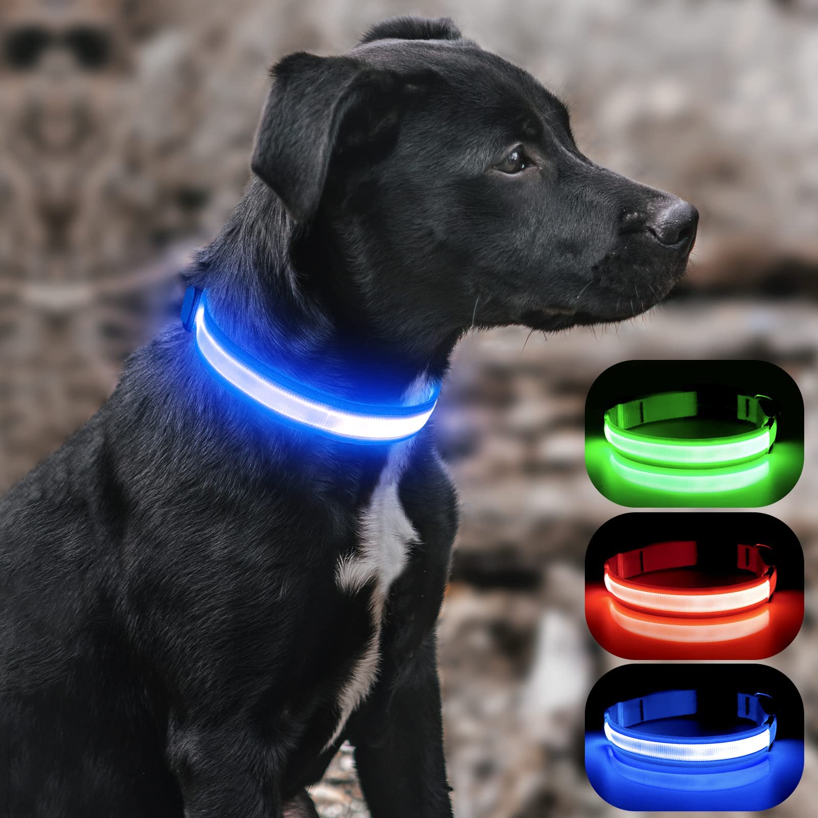 BSEEN Collar de perro con luz LED reflectante, recargable, resistente al agua, brilla en la oscuridad, para perros pequeños, medianos y grandes (azul rey, mediano)