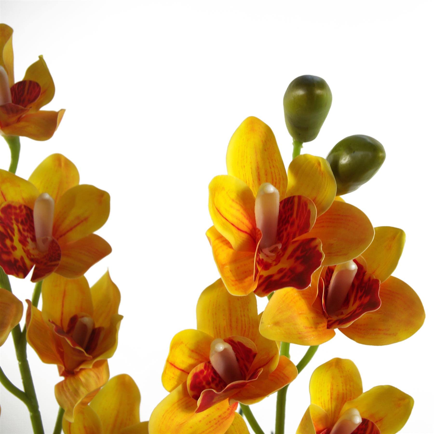 Leaf Orchidée cymbidium Artificielle 90 cm - Pot en Plastique Noir Extra Large