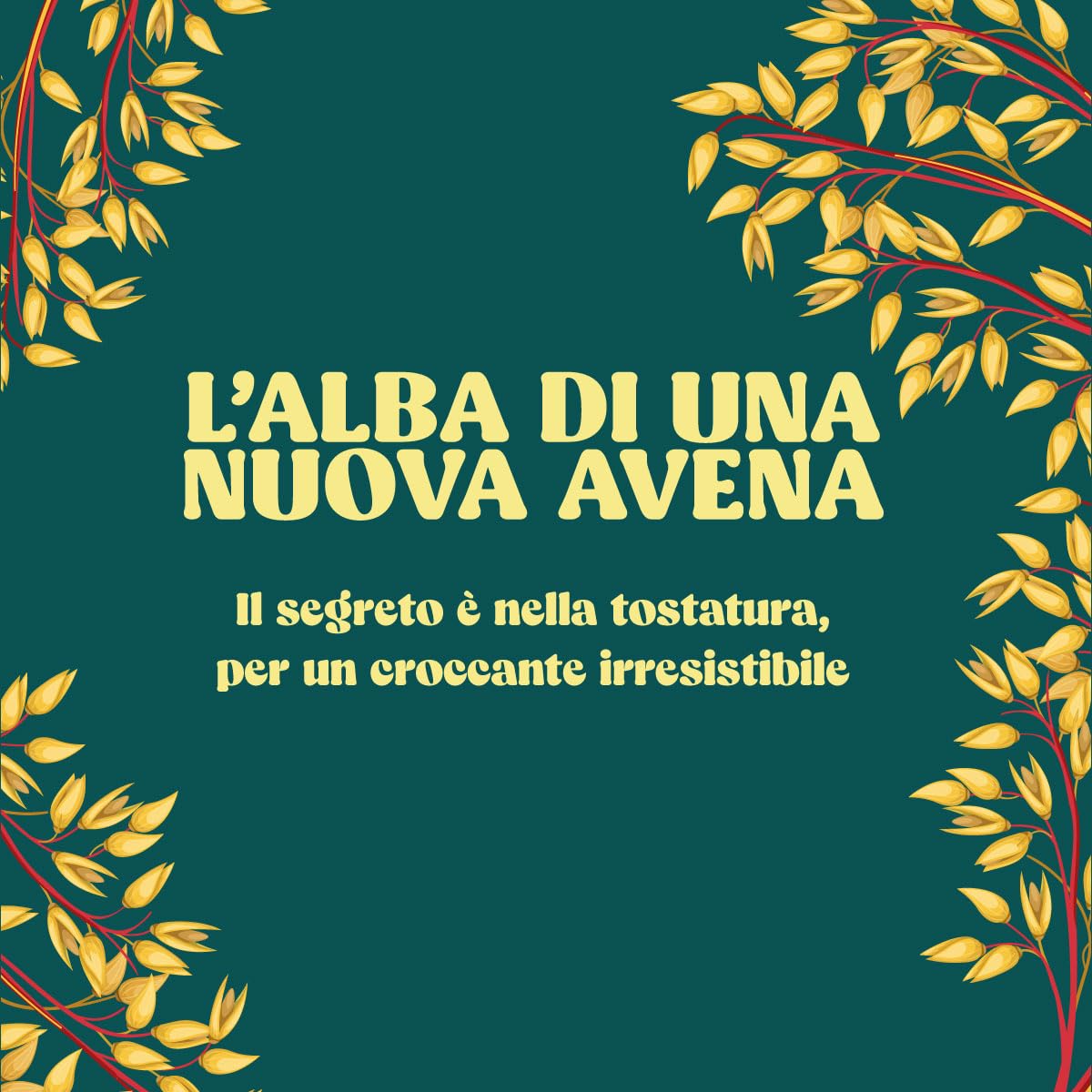 Avena Crock Integrali Stella - Fiocchi di Avena Croccanti Bio | Family Pack 6 x 300g | Senza Zuccheri Aggiunti | Fonte di Proteine | Ricco di Fibre