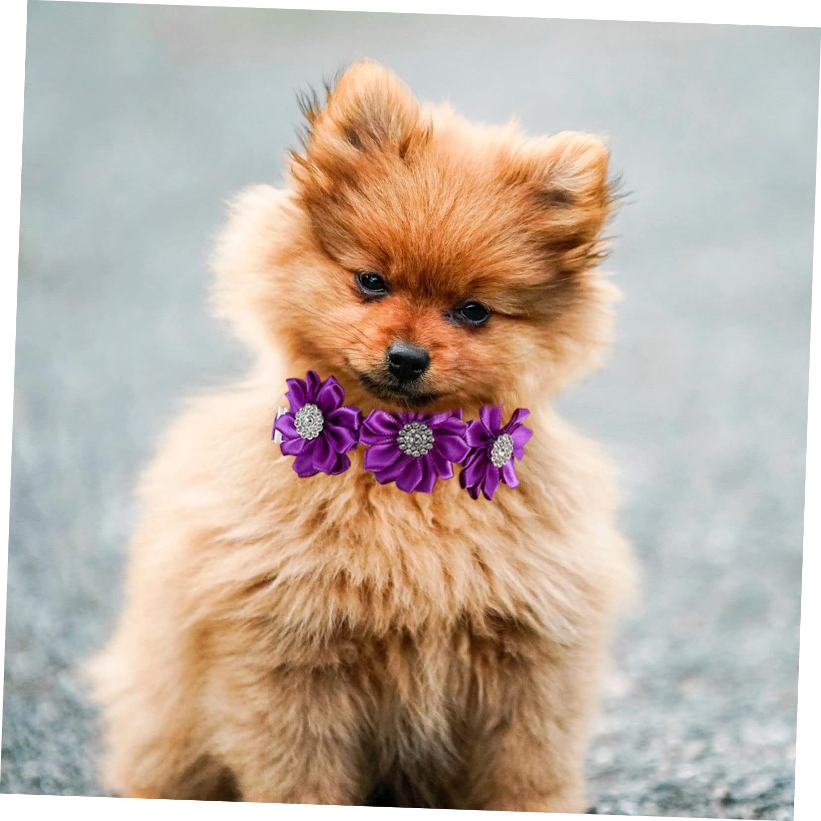 BESPORTBLE 36stücke Blumenhalsband Mit Strass Für Hunde Und Verstellbares Bowtie- Charmante Pet-Accessoires Für Besondere Anlässe Und Hochzeiten