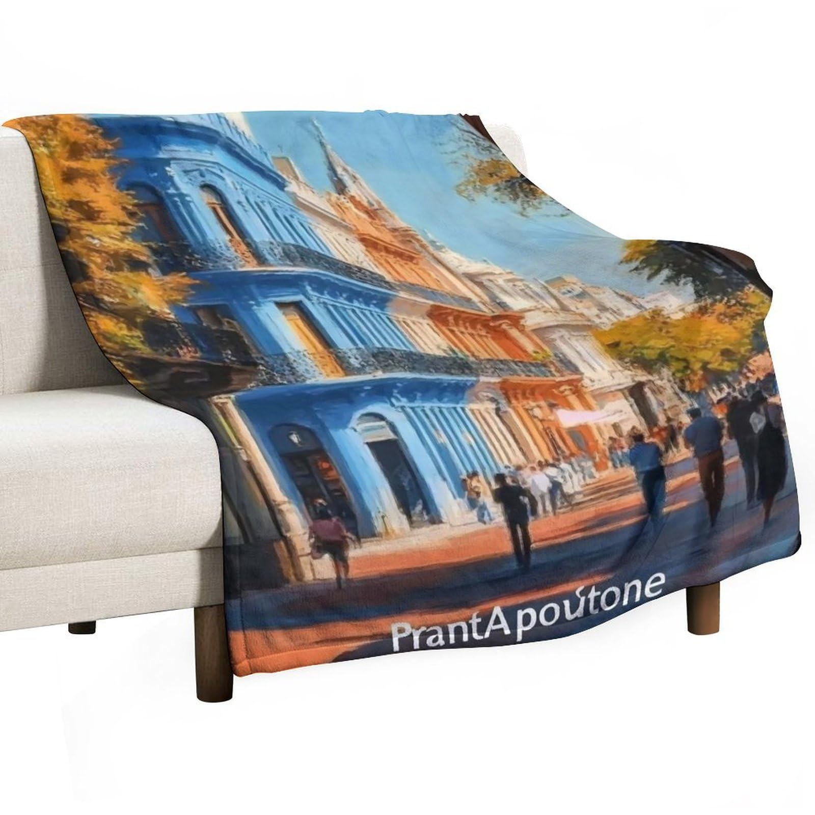 YHGSREUOH Buenos Aires (4) Flannel Blankets Fleece Soft Throw Lightweight Plush Gifts for Couch, Bed, Cozy Sofa Plush, Chair, Lovers 150x200cm(60x80in)