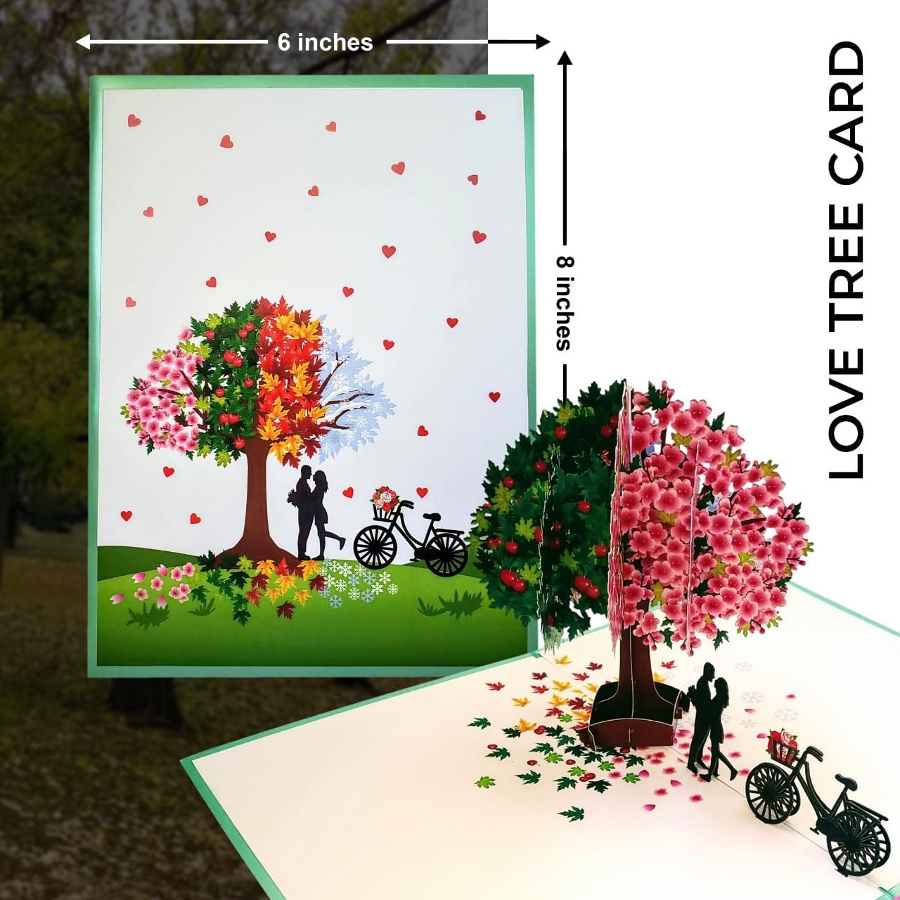 iGifts And Cards Four Seasons Lovers 3D Pop Up Card – Romantic Tree Love Story, Enduring Love Symbol – Anniversary, Proposal, Engagement, Wedding – Couples, Nature Lovers, Travelers – 6" X 8" - Image 7