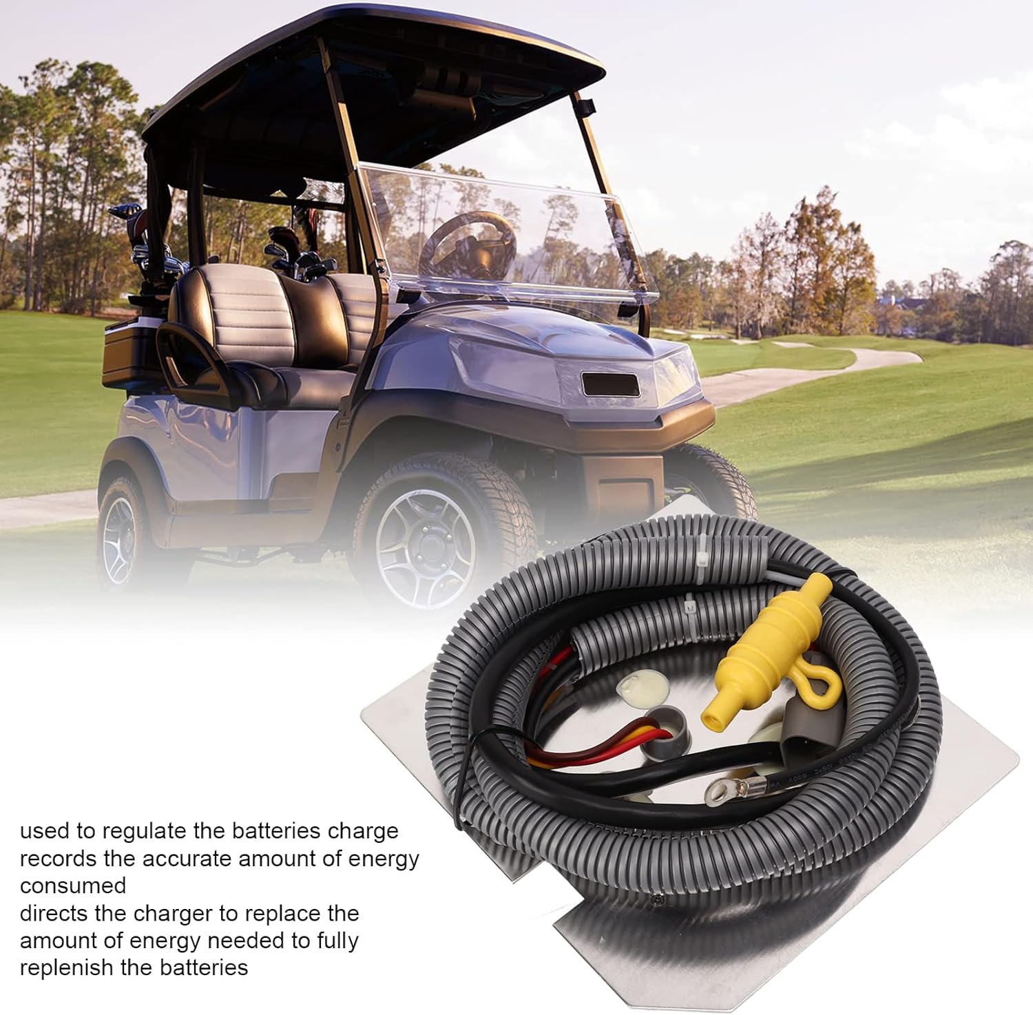 Golf Cart On Board Computer Computer with Club Car DS 1998?2004, Golf Cart OBC for PowerDrive 48V Systems with 3 Pin Plug, OE 101909901