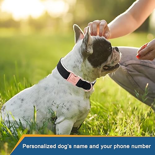 Miniatura 2 de MR. CHUBBYFACE - Collar de perro negro con placa de nombre, collar de perro personalizado de temperatura de algodón con número de teléfono, collar