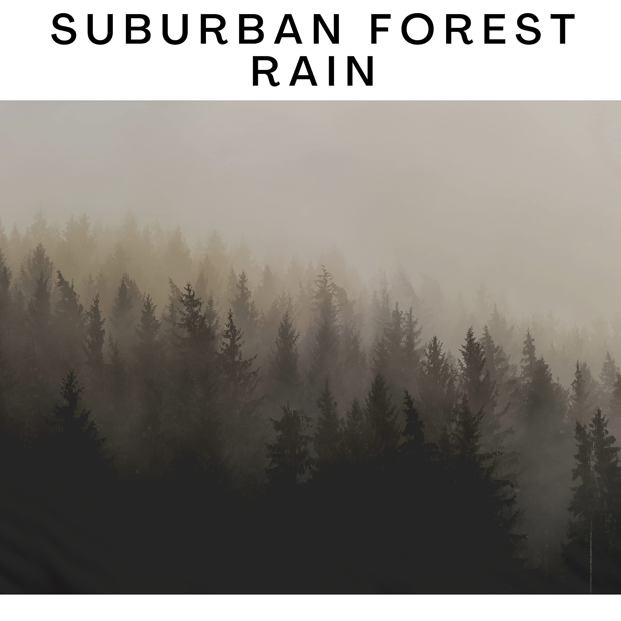 Spring Shower Bird Songs