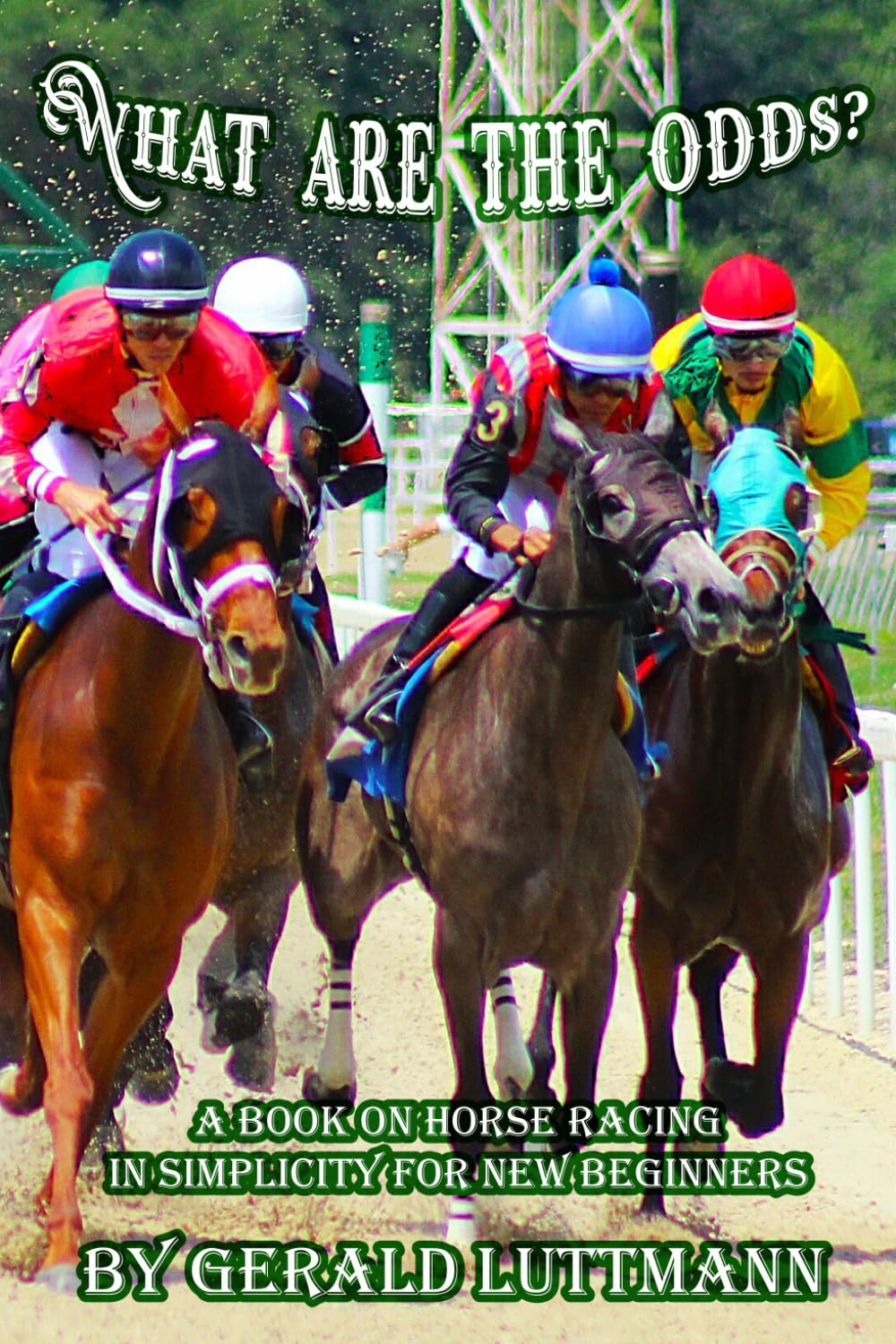 What are the Odds?: A Book on Horse Racing in Simplicity for New Beginners