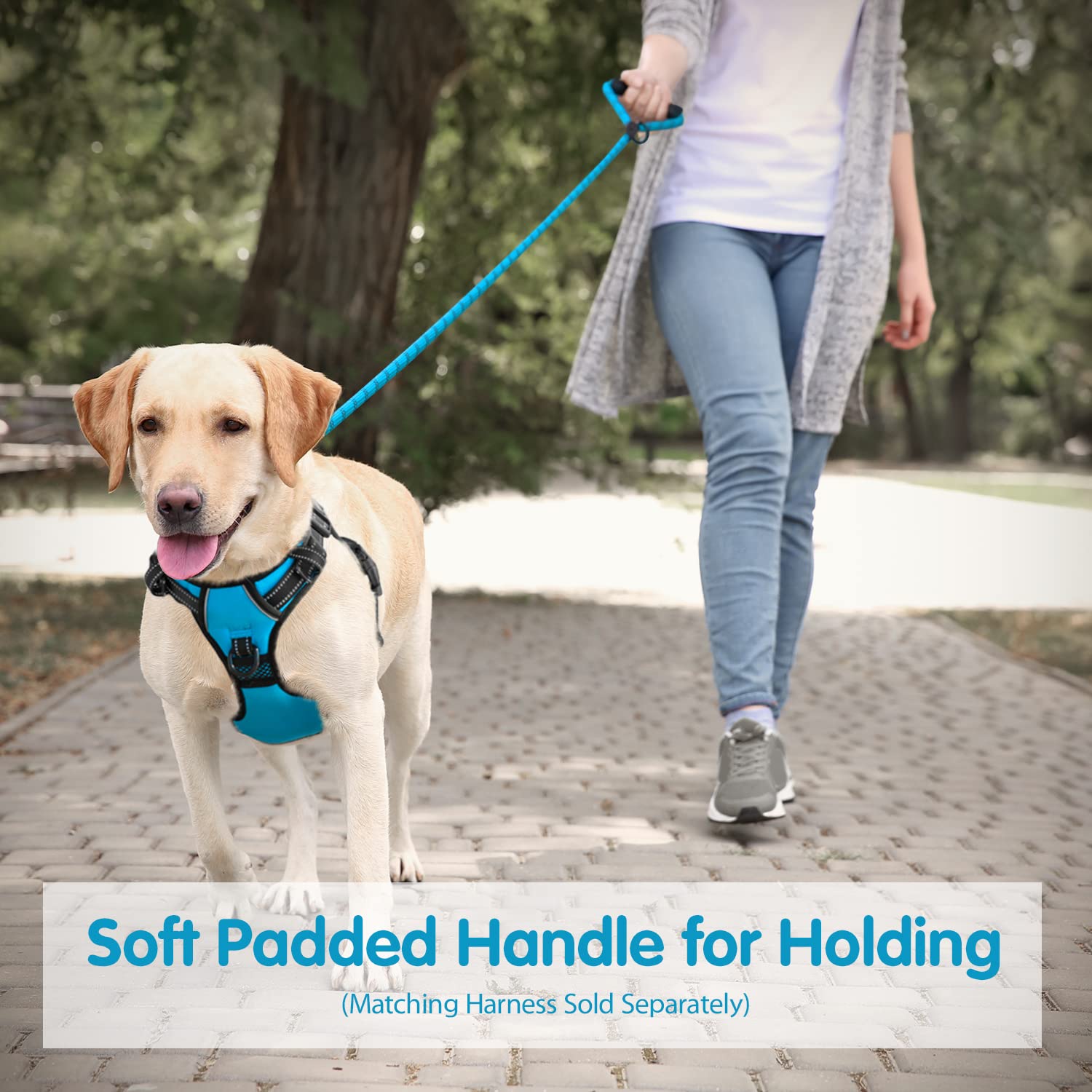 PHOEPET 5 Feet Dog Leash Reflective Heavy Duty Padded Rubber Handle 360° No Tangles for Small Medium and Large Dogs(Blue)