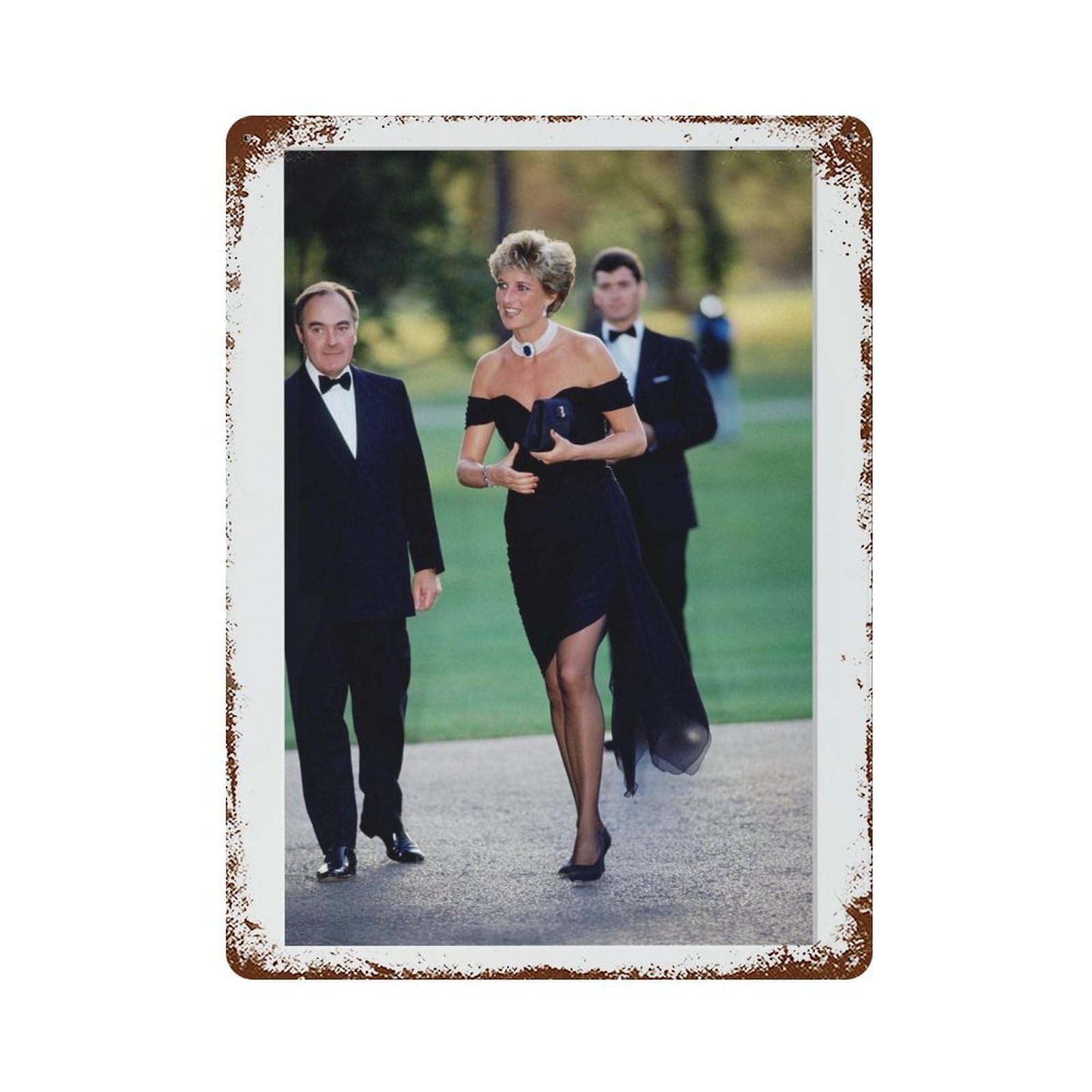 xiaoxiaoshen Lady Diana, Photography S2 Wall Decor Art Metal Tin Poster Modern Home Decor Art Home Bar Shop Decorations Vintage Sign 40x30cm