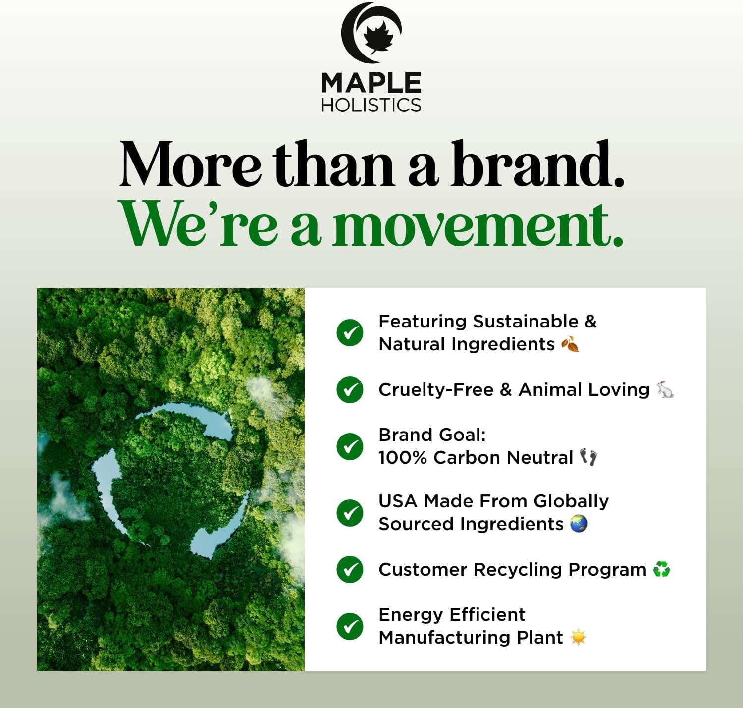 Premium Eucalyptus Bubble Bath Soap - Sulfate Free Adult Bubble Bath for Women and Men with Relaxing Essential Oils with Vitamin E - Foaming Bath Oil for Dry Skin Featuring Aromatherapy Oils - Image 8