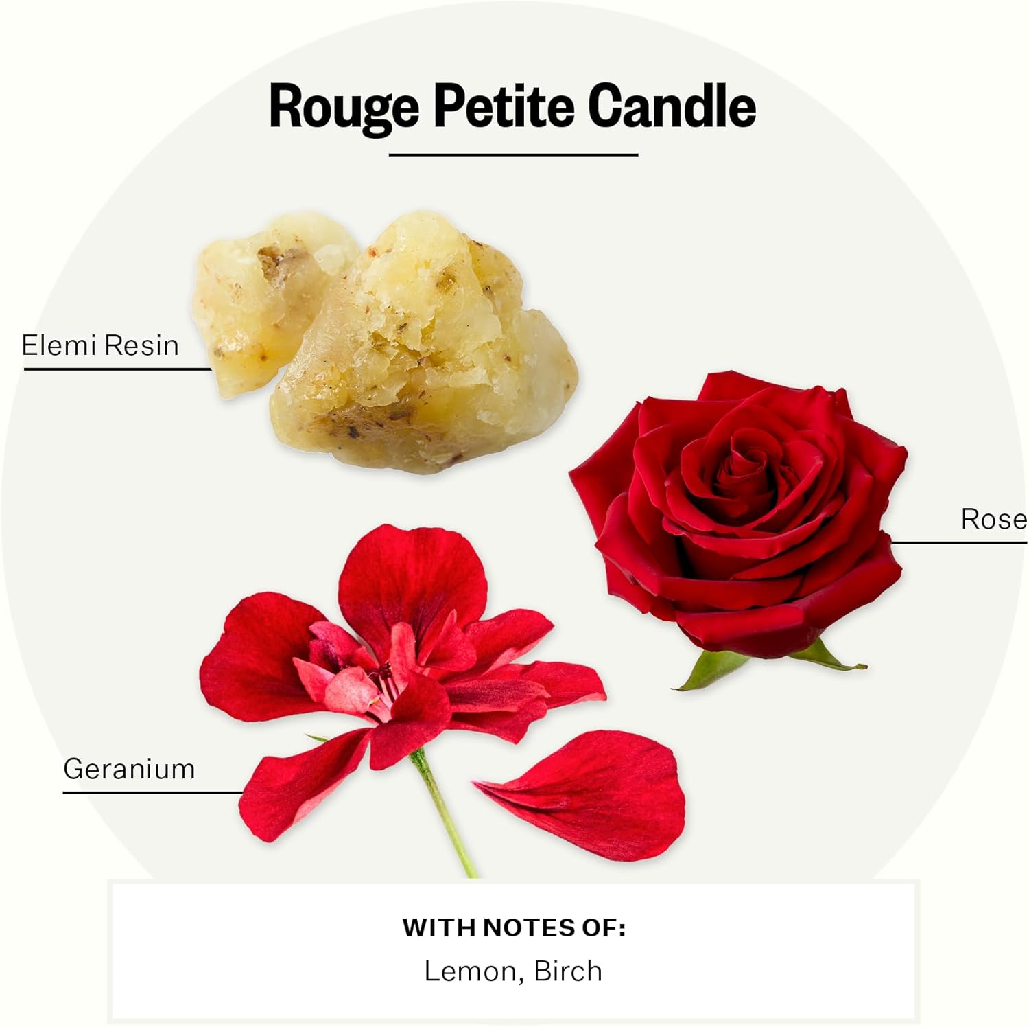 Apotheke Luxury Scented Candles for Home, Charcoal Rouge - Petite Aromatherapy Jar Candle with Soy Wax Blend - Image 2