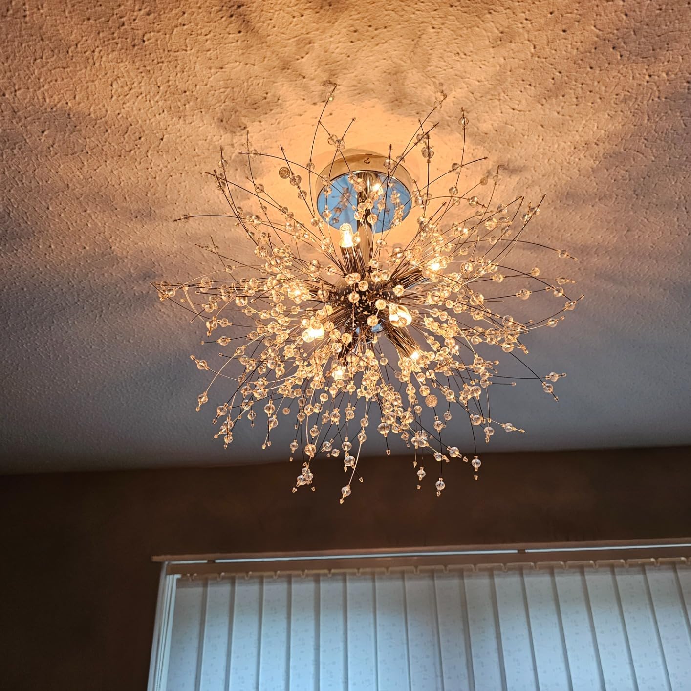 Customer photo