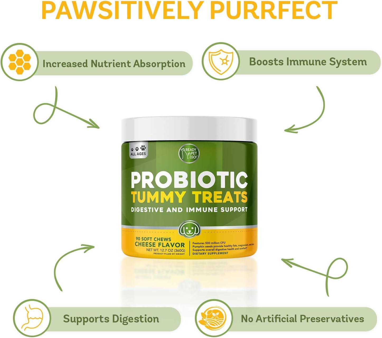 Probiotics for Dogs Enhanced with Digestive Enzymes + Prebiotics & Pumpkin | Dog Probiotics to Improve Digestion | Relieves Dog Diarrhea, Gas, Constipation, Upset Stomach | Allergy + Immune Support : Pet Supplies