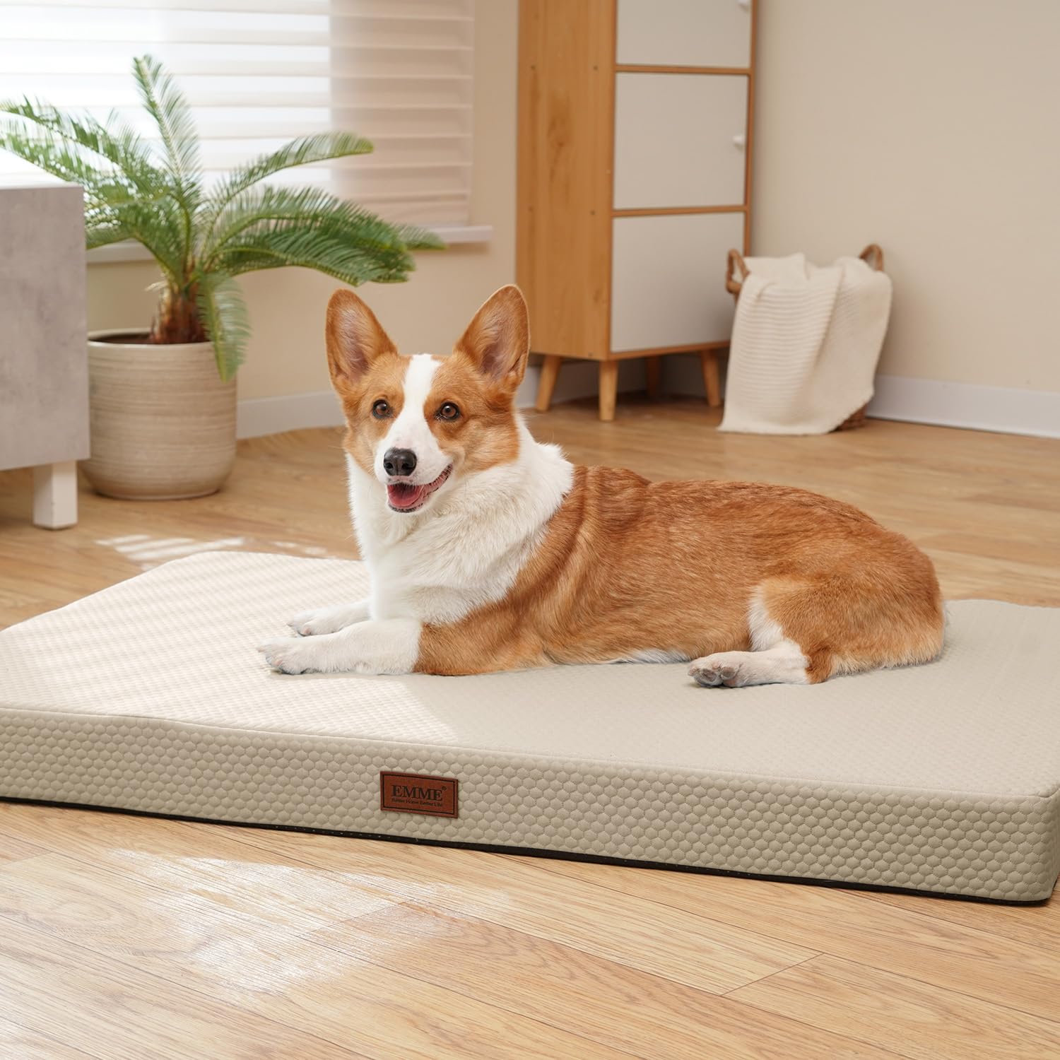 ♡在庫処分♡ 直径60cm Lサイズ ベッド ペット 犬 マット クッション Amazon | EMME接触冷感 ペットベッド犬 ひんやりペットマット Q-max値