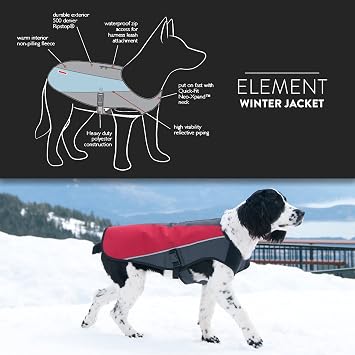 EzyDog Element Best Dog Jacket - Premium Wind and Waterproof Reflective Dog Coat for Safety and Protection - Provides Leash Access to Harness or Collar (Scarlett, XX-Small)