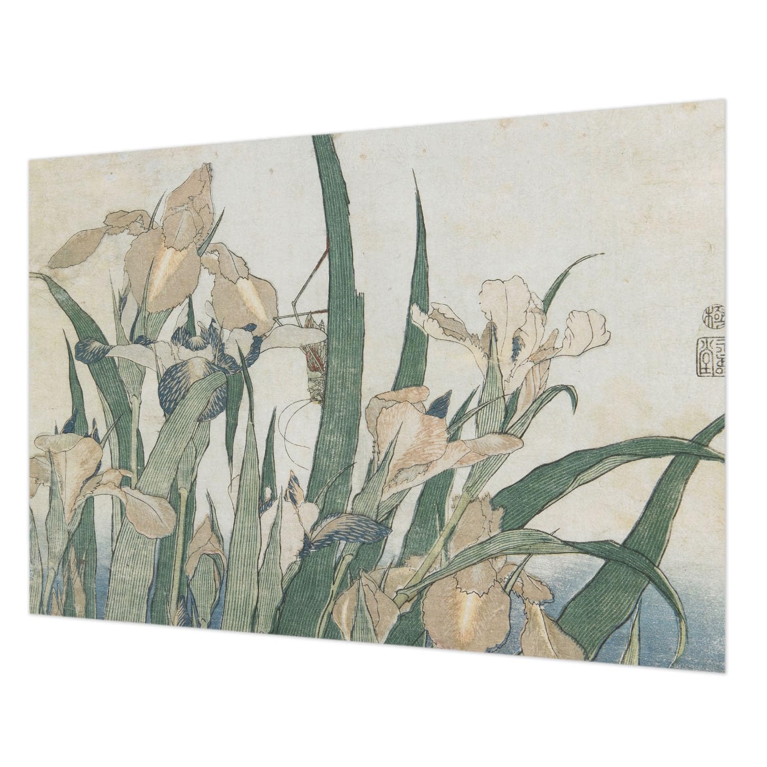 Papier peint intissé facile à nettoyer Tulup avec impression haute qualité 208x146