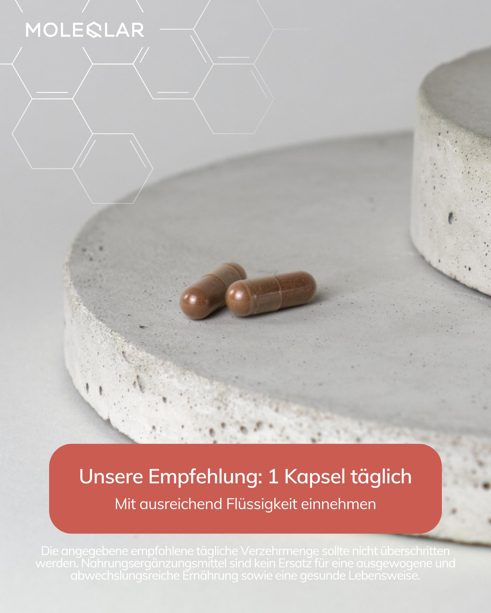 MoleQlar Roter Reis Kapseln 60 Stück - Lipolyzer Komplex mit geruchlosem Knoblauchextrakt - 2,9 mg Monacolin K und 3 mg SAC pro Kapsel - Innovative Formulierung
