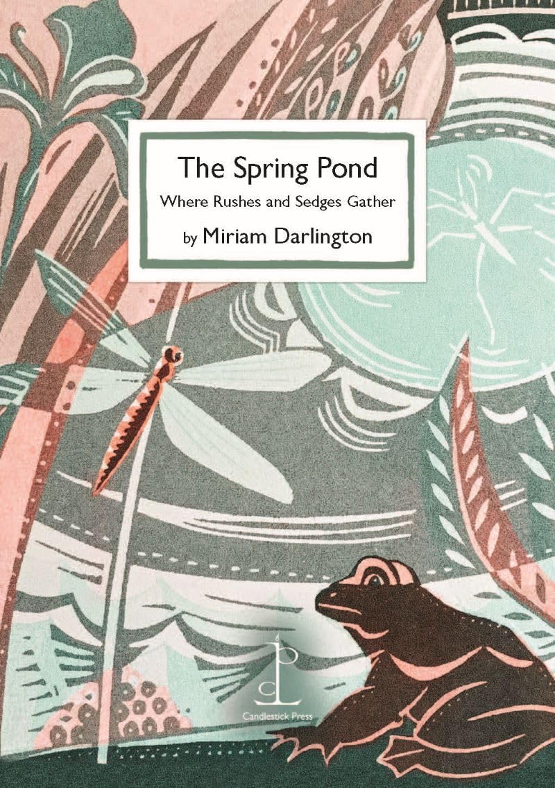The Spring Pond by Miriam Darlington (Paperback Book)