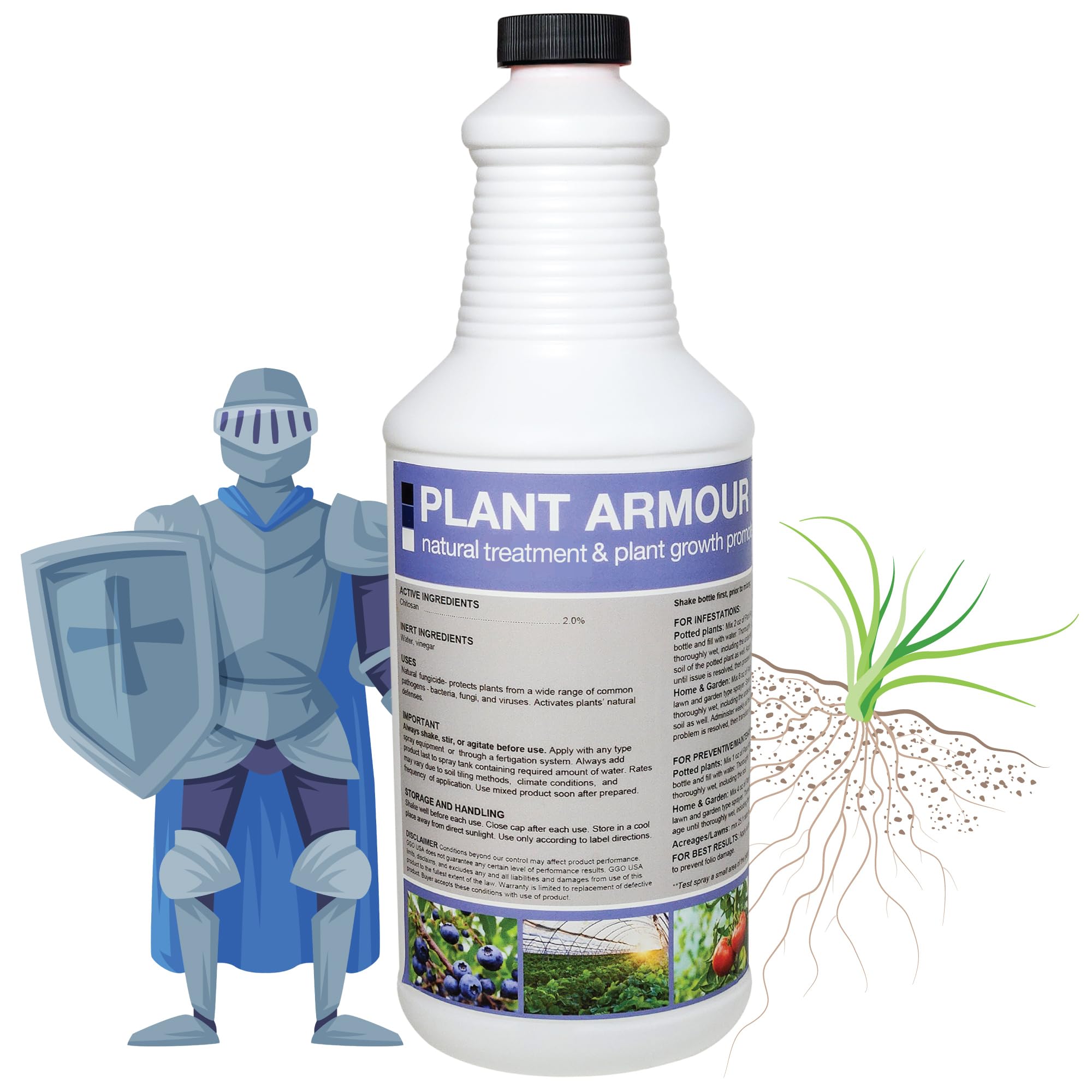 contradiction embodied