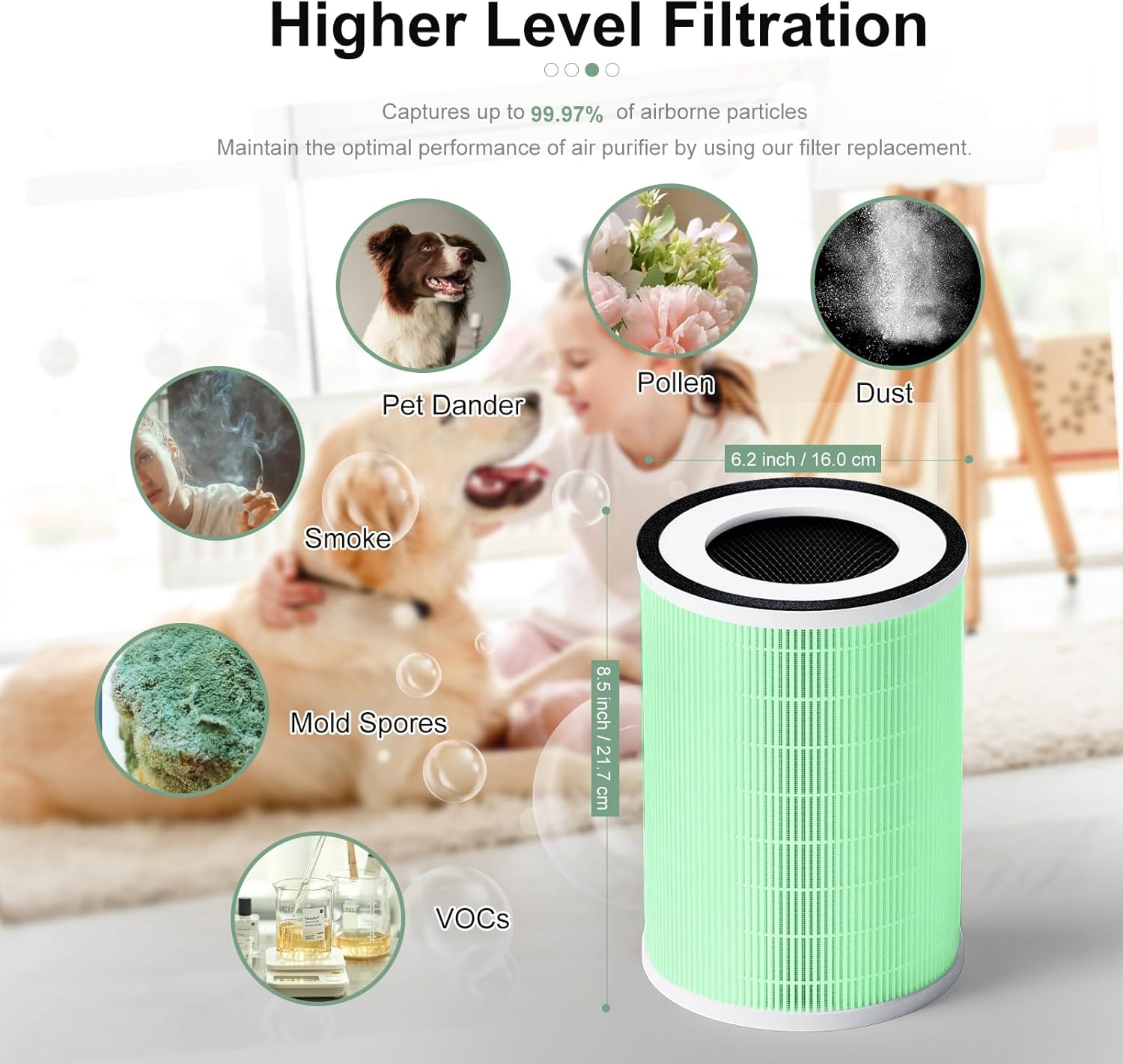 Kilo Air Purifier Filter Replacement, Compatible with Afloia KILO, KILOPLUS, KILOPRO, MIRO,MIRO PRO,MORENTO MR-Kilo and Kalo,CUCKOO CAC-I0510FW Air Purifier, 2 Pack (Green-pet Care Filter)