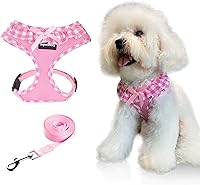 SuperBuddy Soft Mesh Dog Harness & Leash Set - Breathable Lightweight Pink Vest for XSmall Puppies, No-Pull Comfort Walking