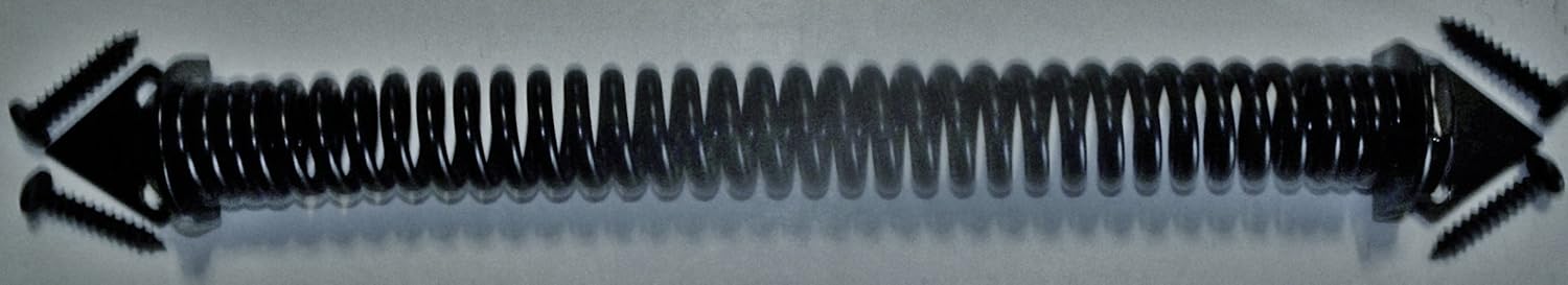 Black Gate Spring - 11 Inch - Gate Hardware - Amazon.com