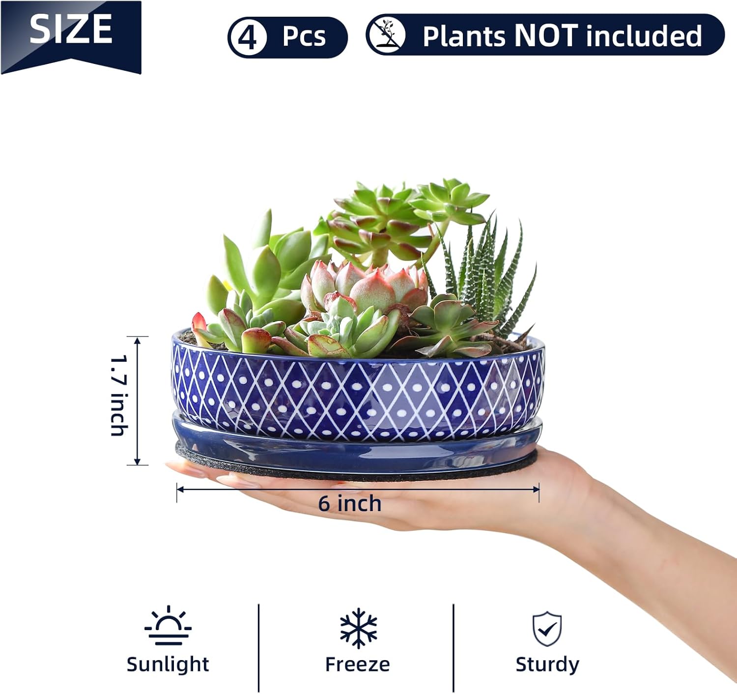 Selamica Ceramic Succulent Pots, Shallow Succulent Planters with Drainage Hole & Saucer, Indoor Plant Pots for Cactus, Home Decor，Vintage Blue,6 inch