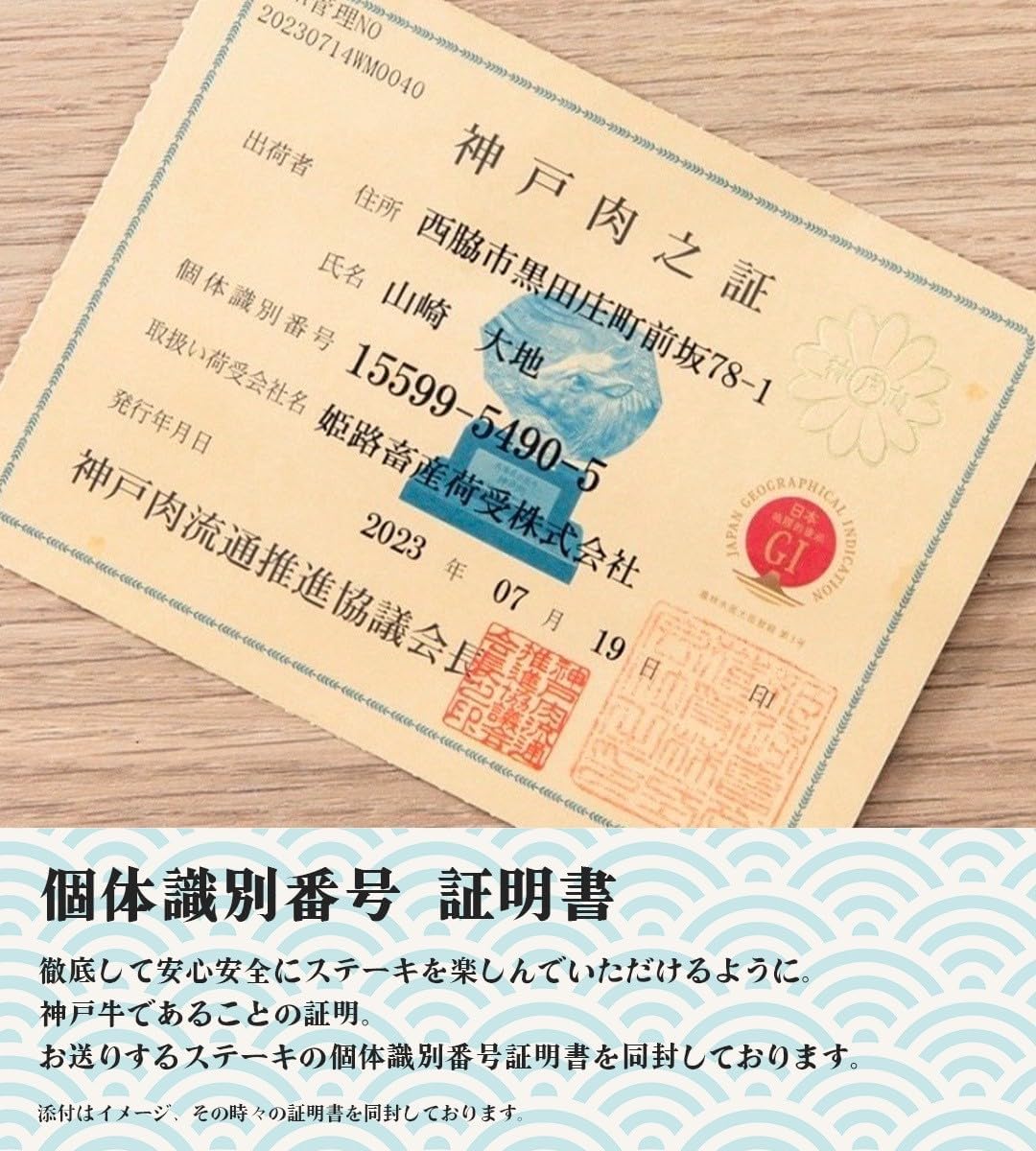 機動戦士ガンダムSEED DESTINY/ピアノ・ソロ・アルバム 機動戦士