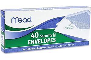 Defense Against Document Loss: Mead #10 Security Envelopes (100 Pack)