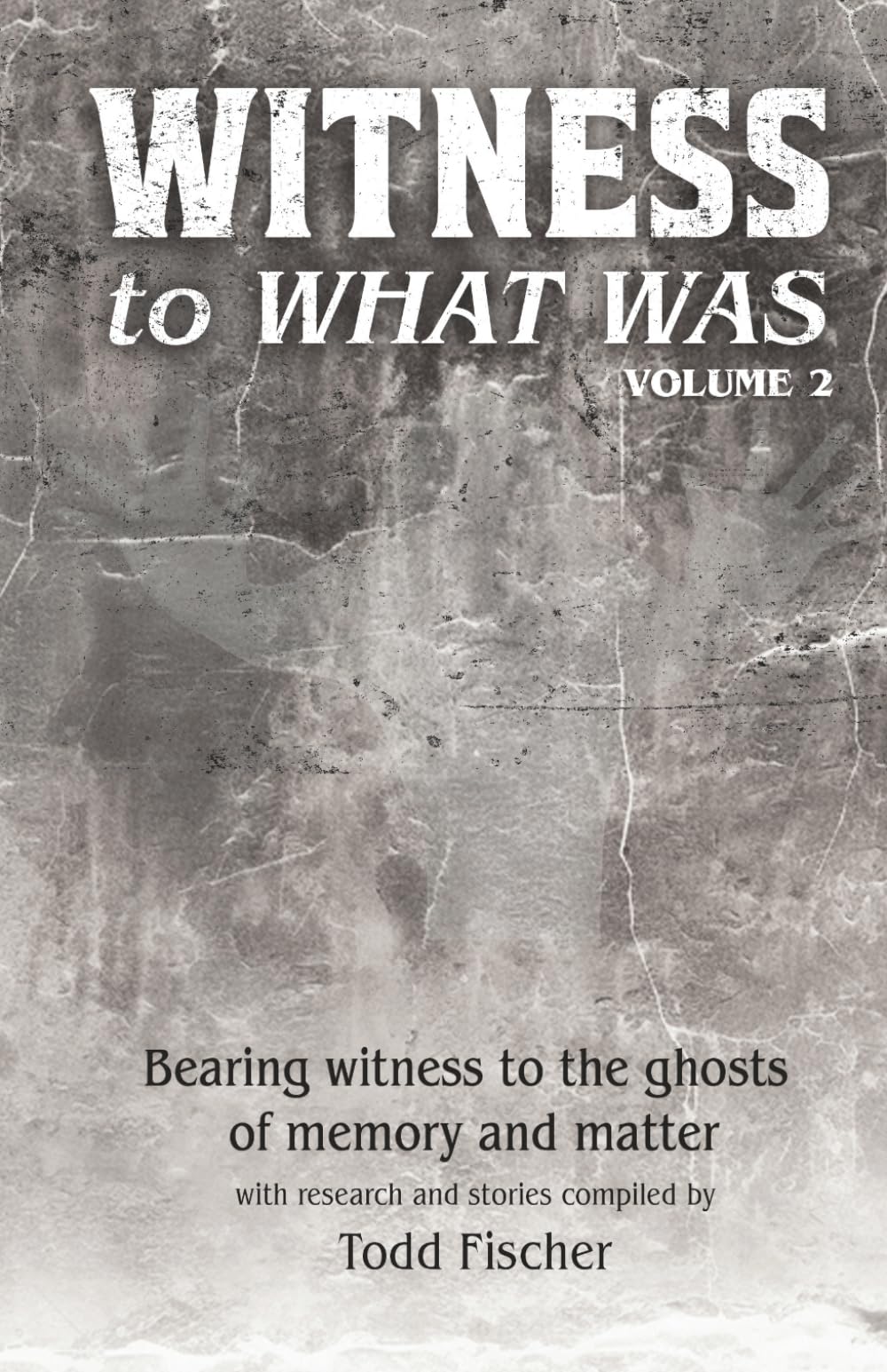WITNESS to What Was: Volume 2