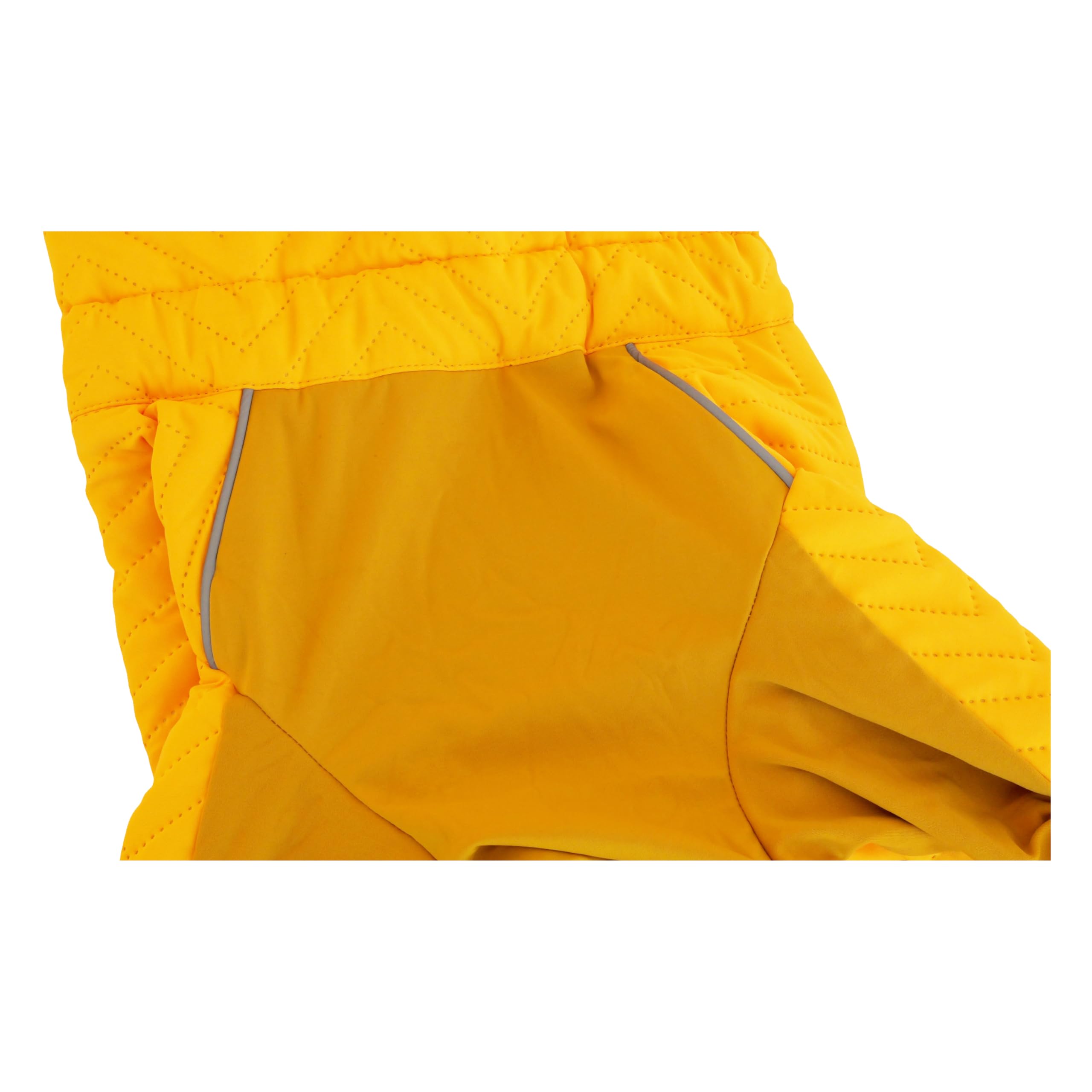 Abrigo cálido para perro, chaleco de perro de doble capa, 4 patas cubiertas, resistente al viento, impermeable, reflectante, chaleco cálido para perro, patinaje al aire libre, disfraz de perro